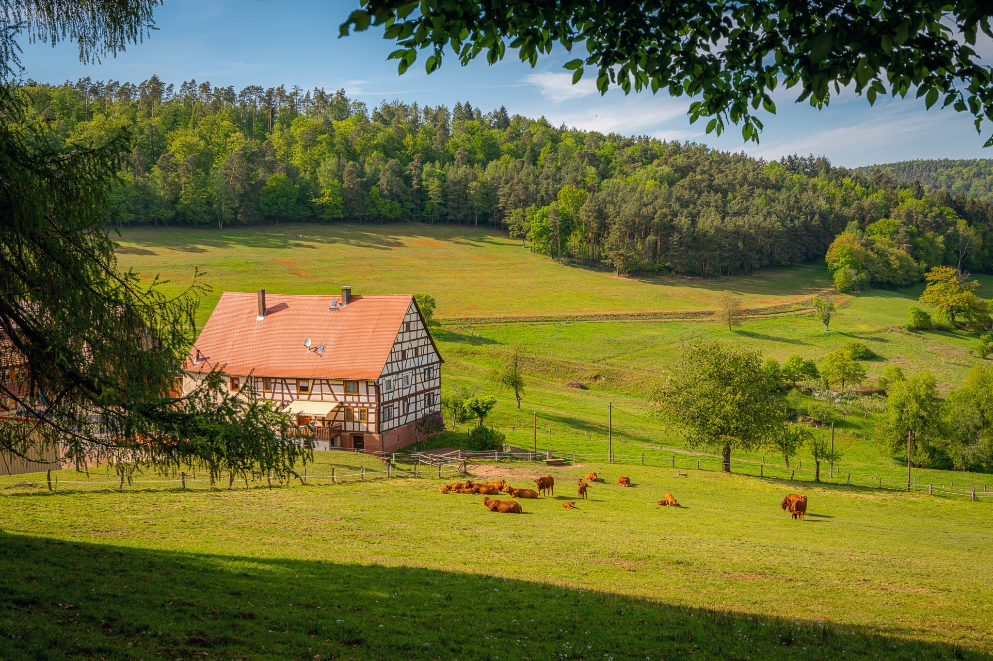 Windmill Ranch Lodge | Carmine TX