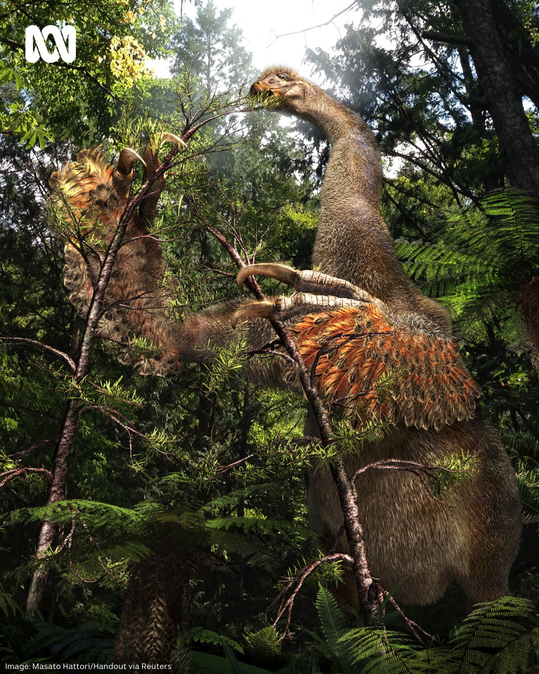 A newly discovered dinosaur was found in the Gobi Desert with rare