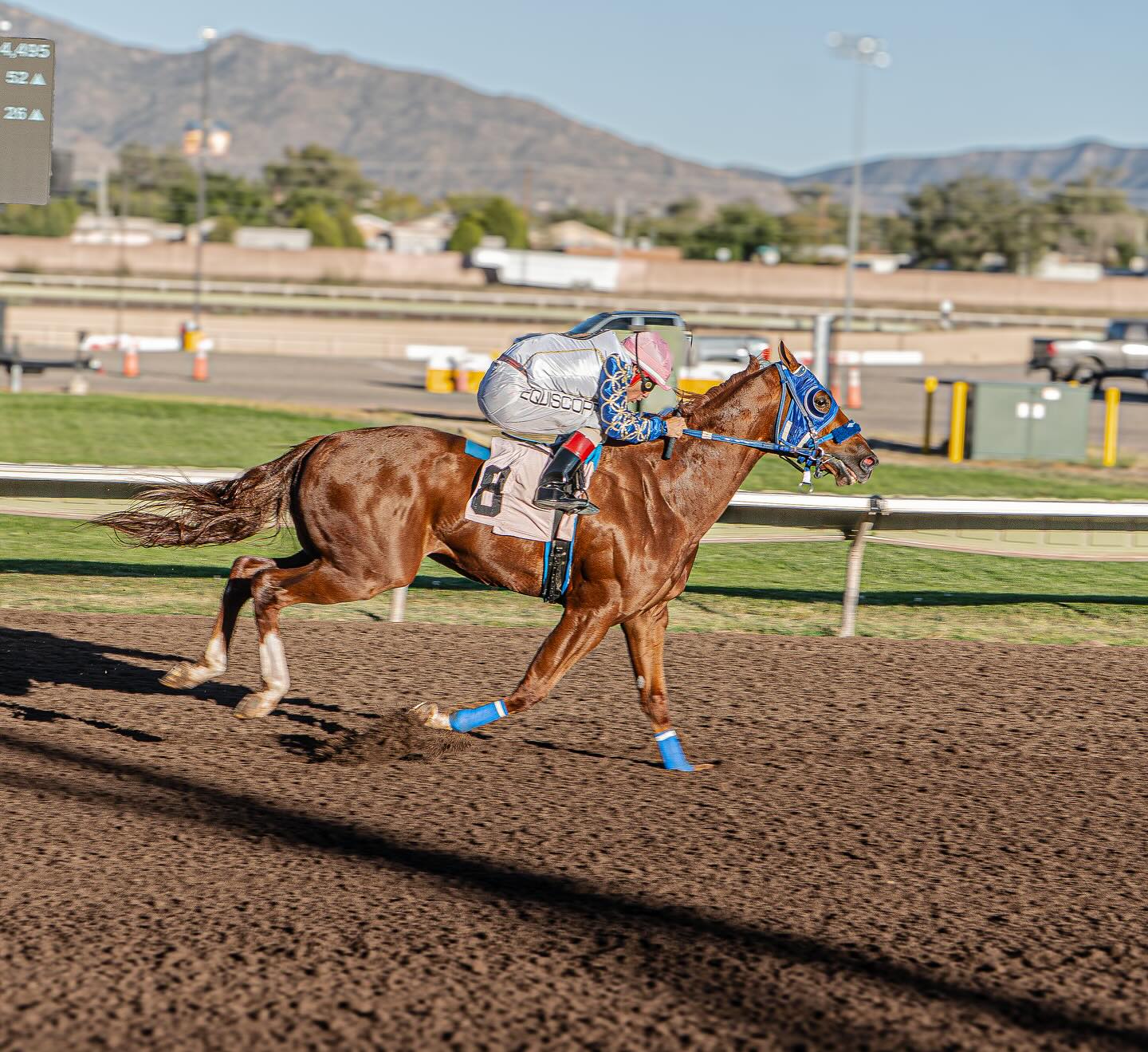 The Downs Racing | Albuquerque NM