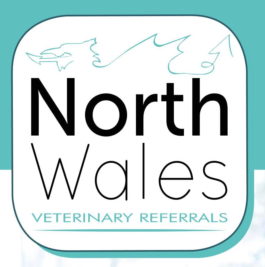 North - 🌟Meet Sophie Dean - Our Referrals Manager and RVN 🌟 Sophie ...