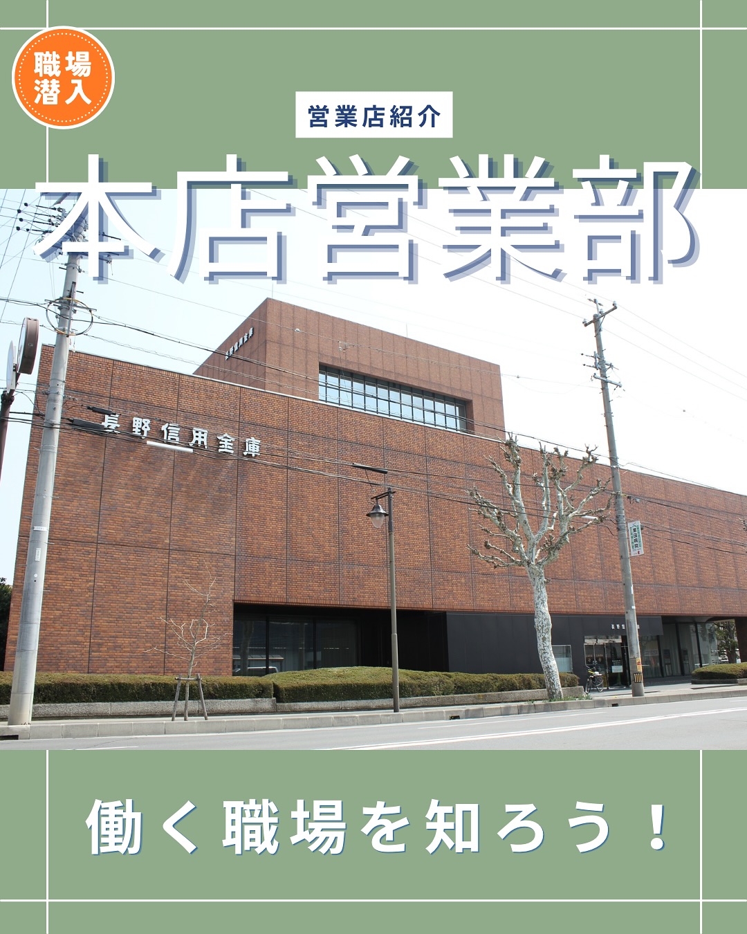 長野 信用 金庫