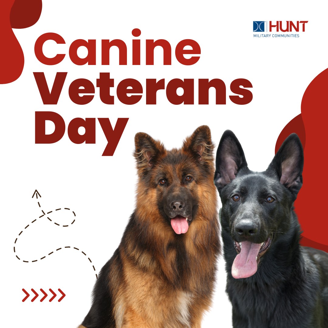Dover - Honoring the loyal service and bravery of our canine veterans ...