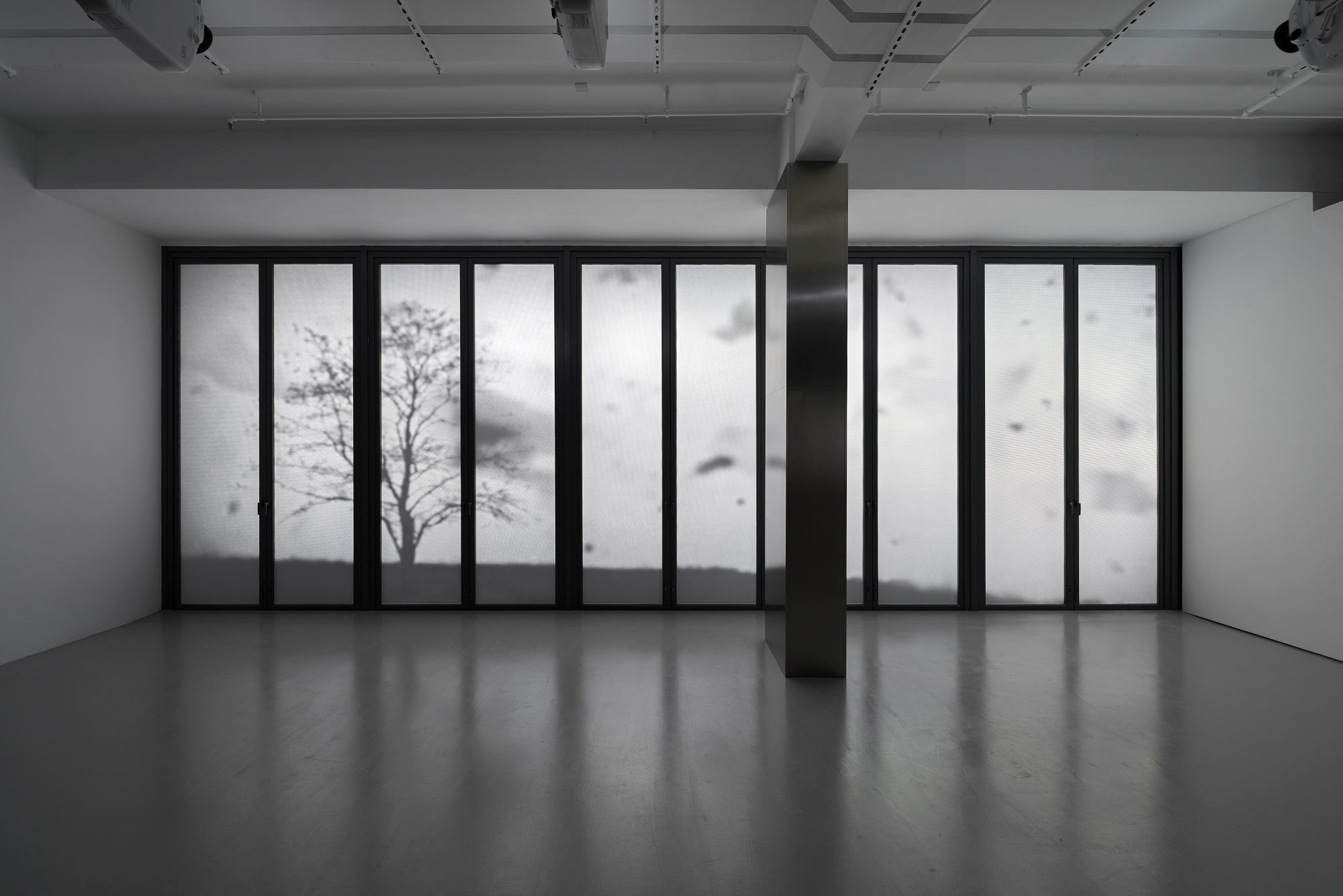 Timable - 【 M+ 展亭首個展覽！】「曾建華: 無」...