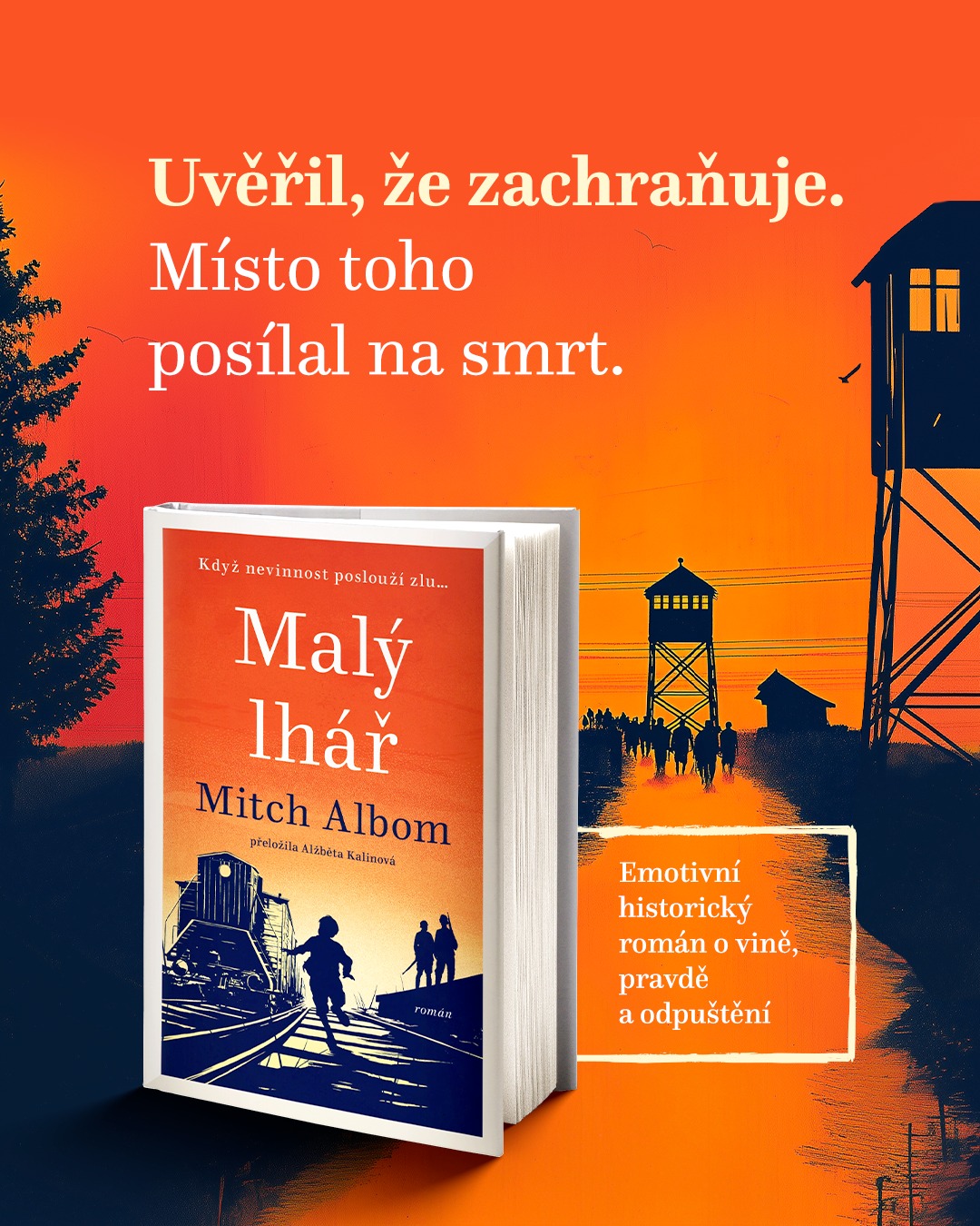 KNIHY DOBROVSKÝ - Malý lhář 📖 Emotivní historický román o... | Facebook