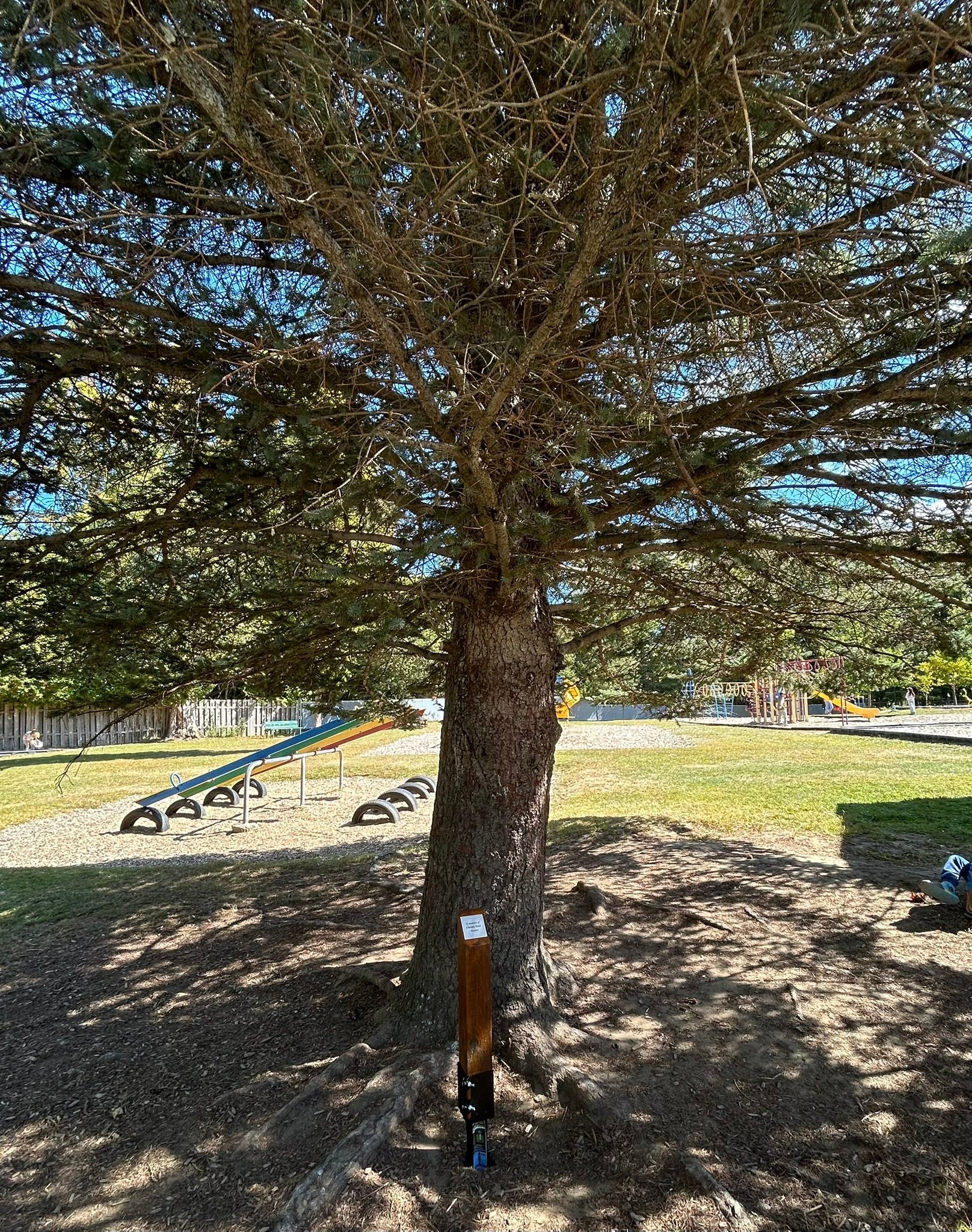 Knowlton Academy Now | We’ve placed new memorial tree markers on the ...