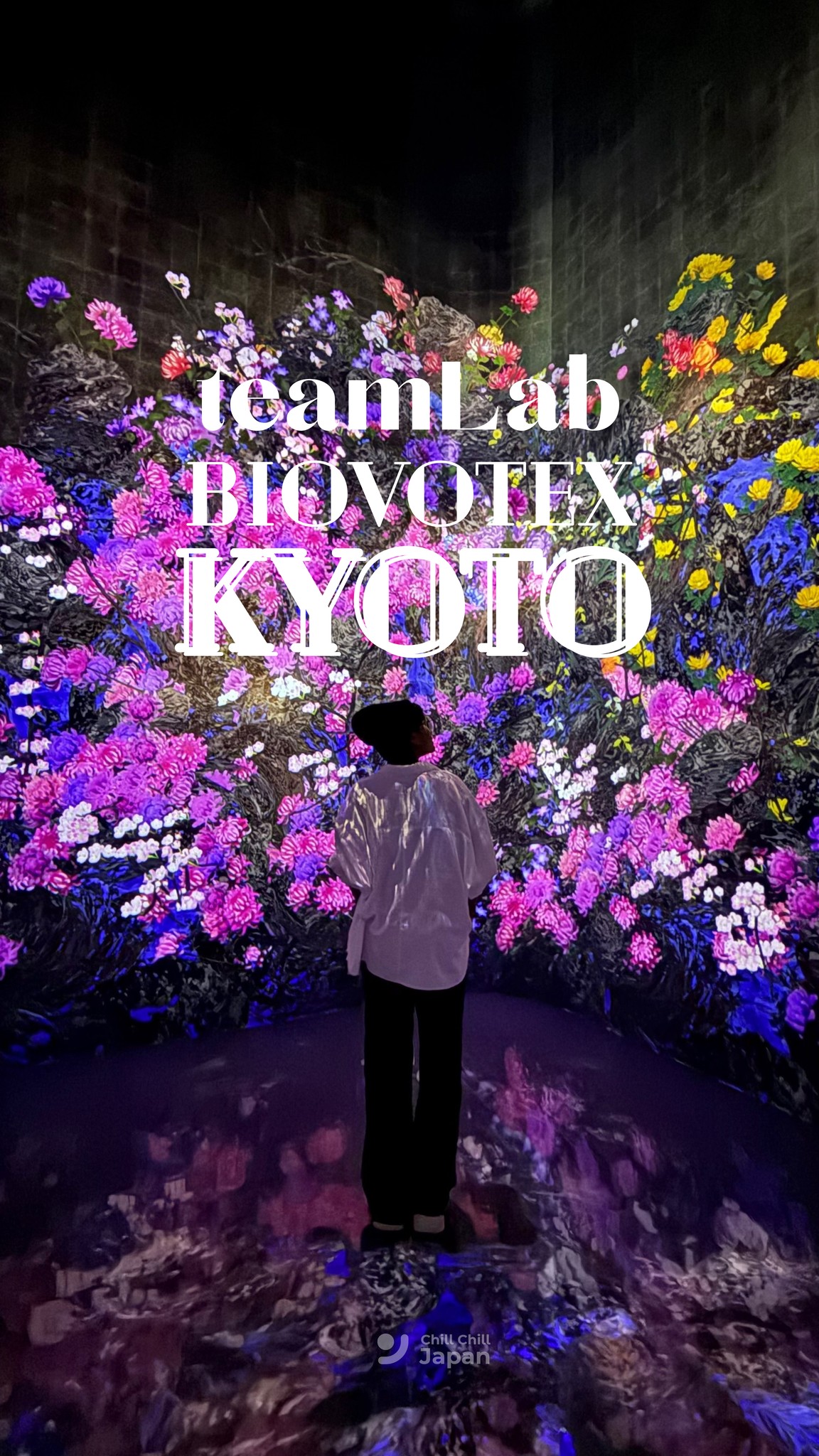 Chill - teamLab, Continuous Life and Death © teamLab | Facebook