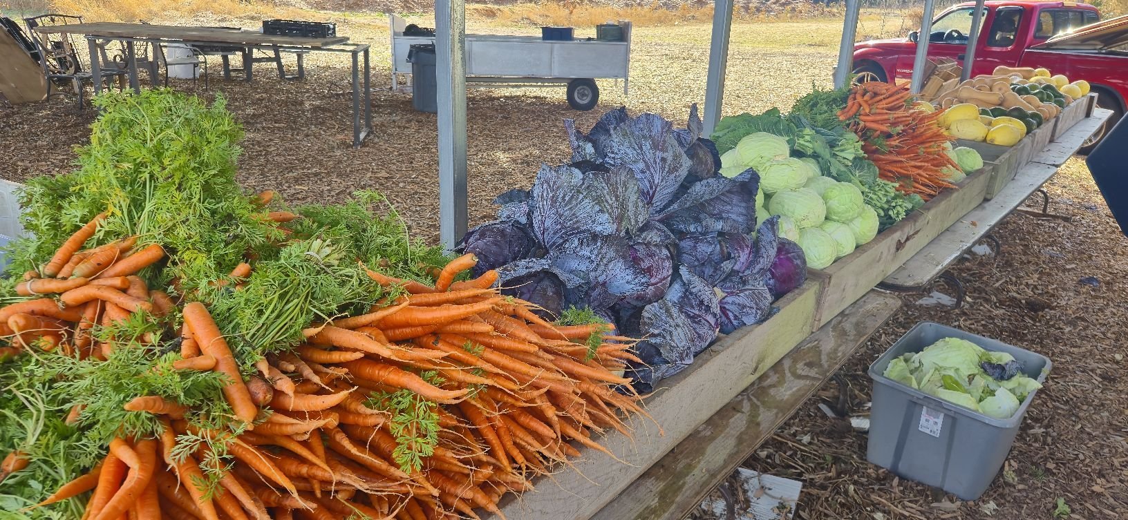 NOBLE ROOTS SPRING PLANT SALE