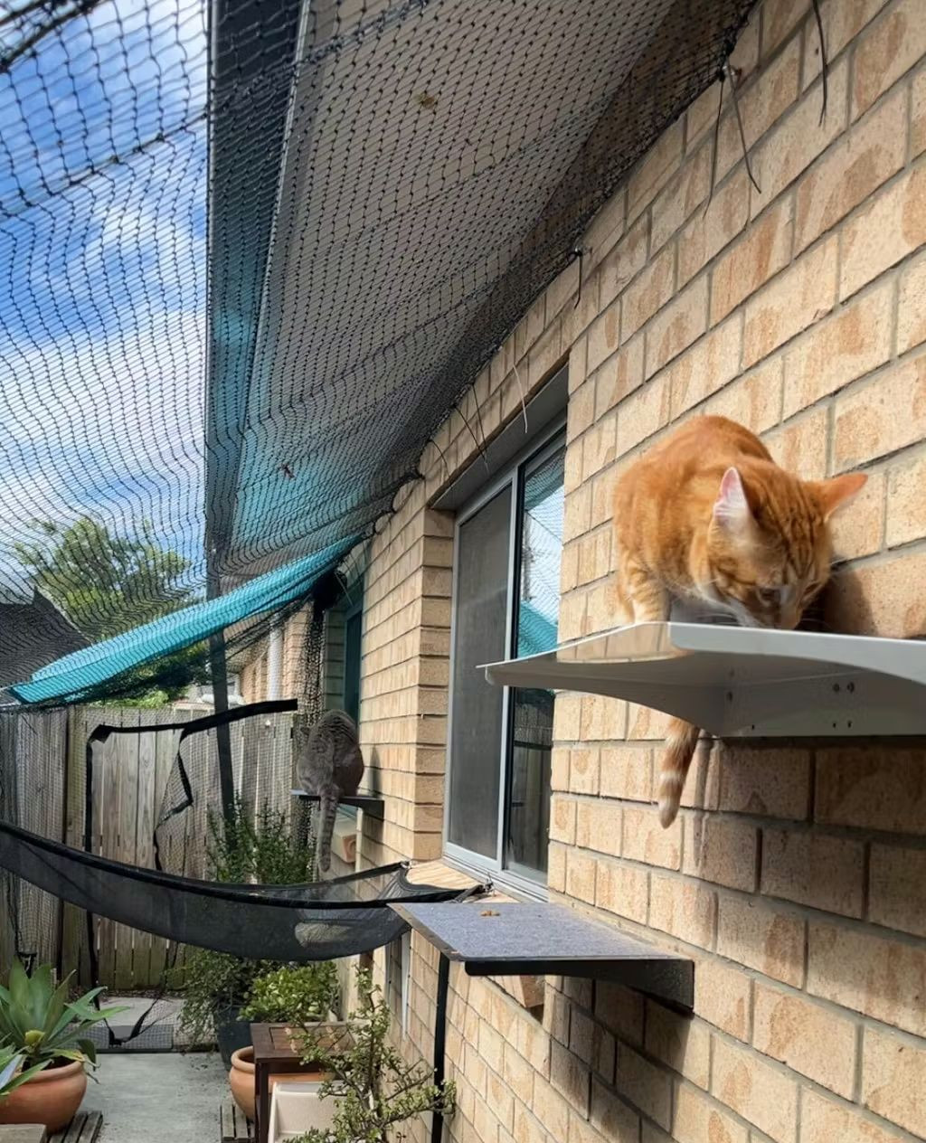 Check out Elyssa's amazing DIY side alley enclosure, complete with