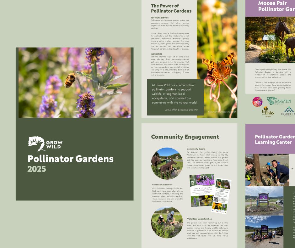 Grow - 🐝Our pollinator gardens were buzzing with activity this year and ...