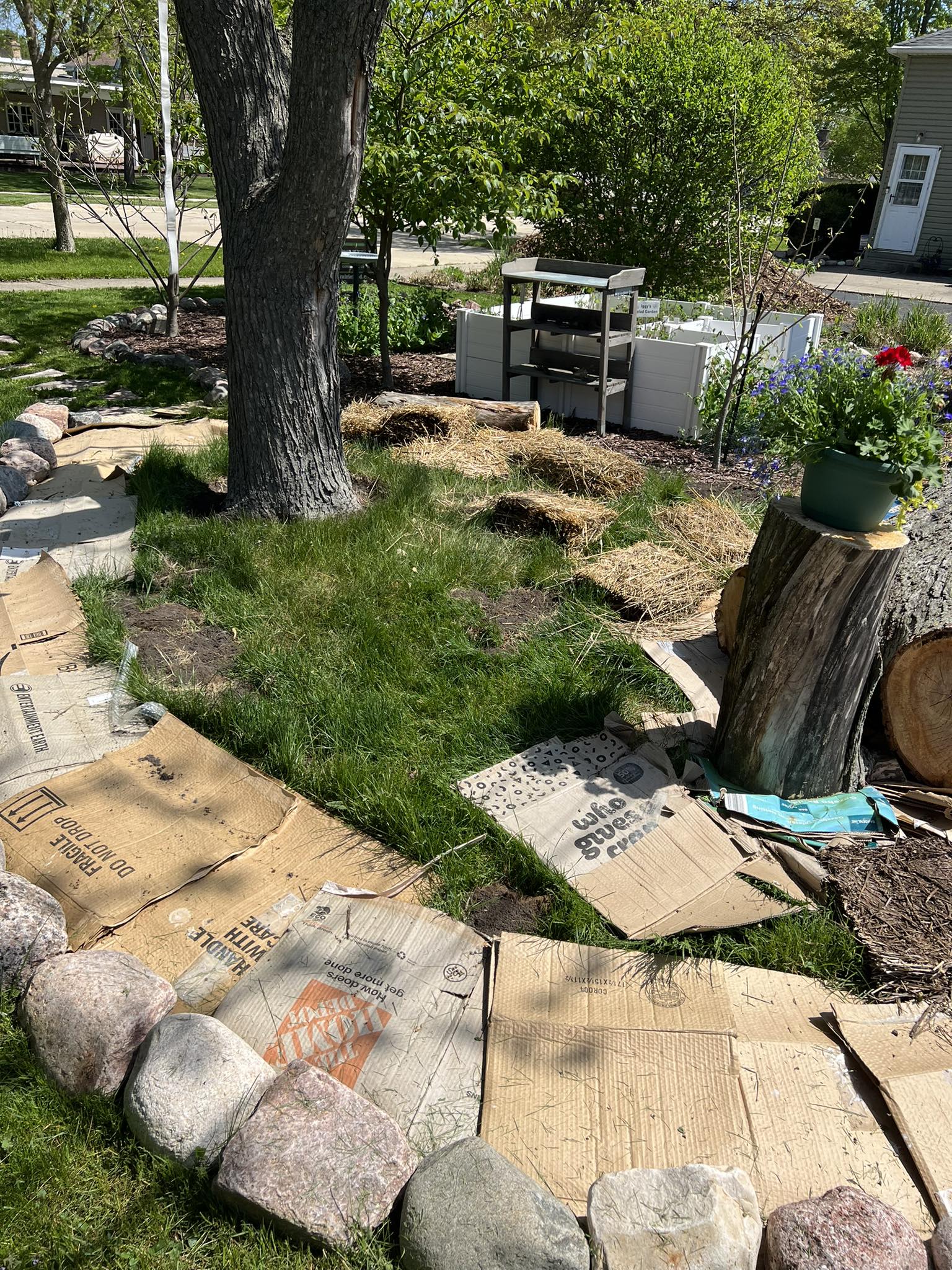 Saving Monarchs - How do you remove lots of useless lawn?... | Facebook