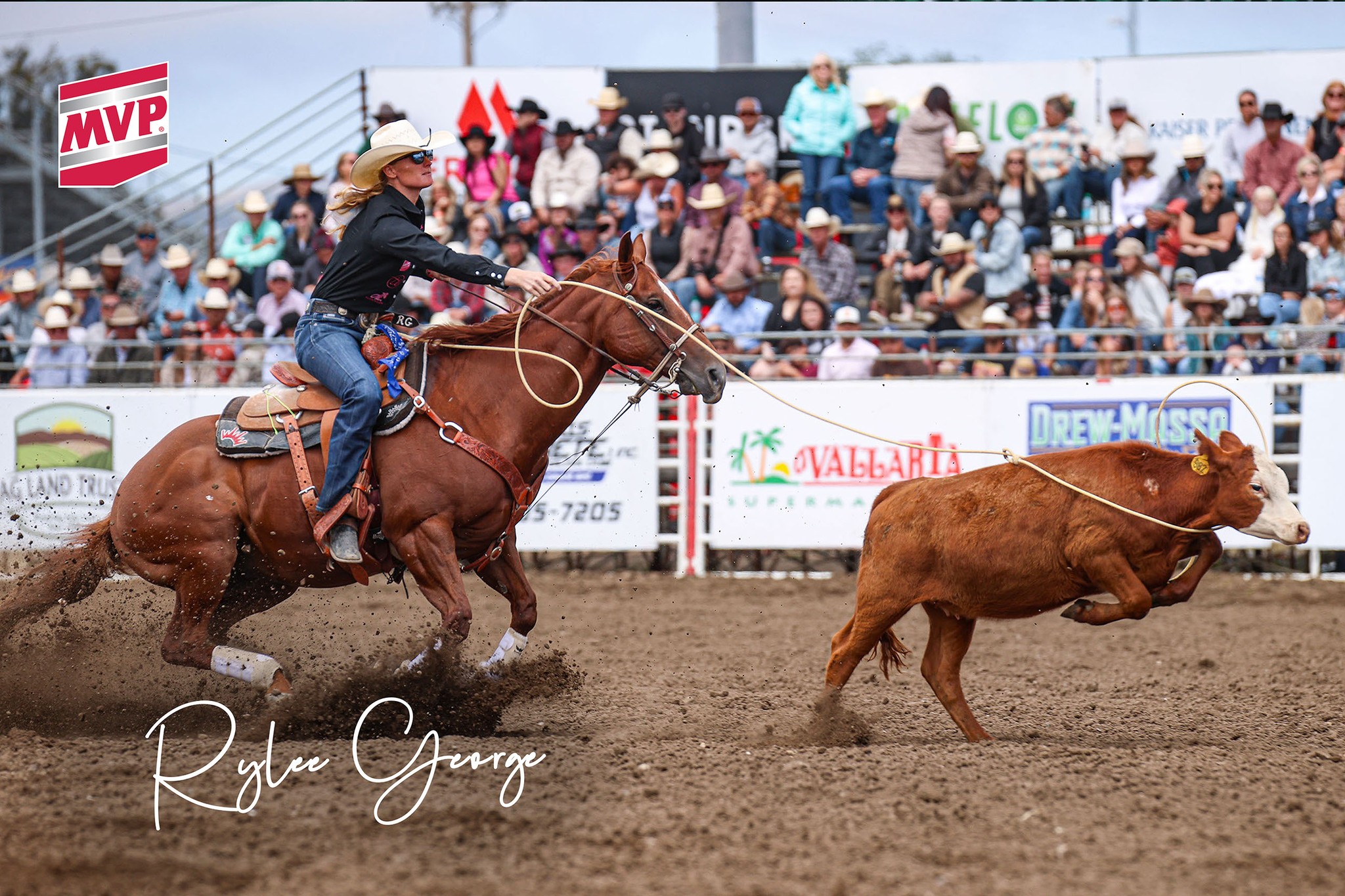 MVP - Rylee George Professional Breakaway Roper MVP Essentials: Exceed ...