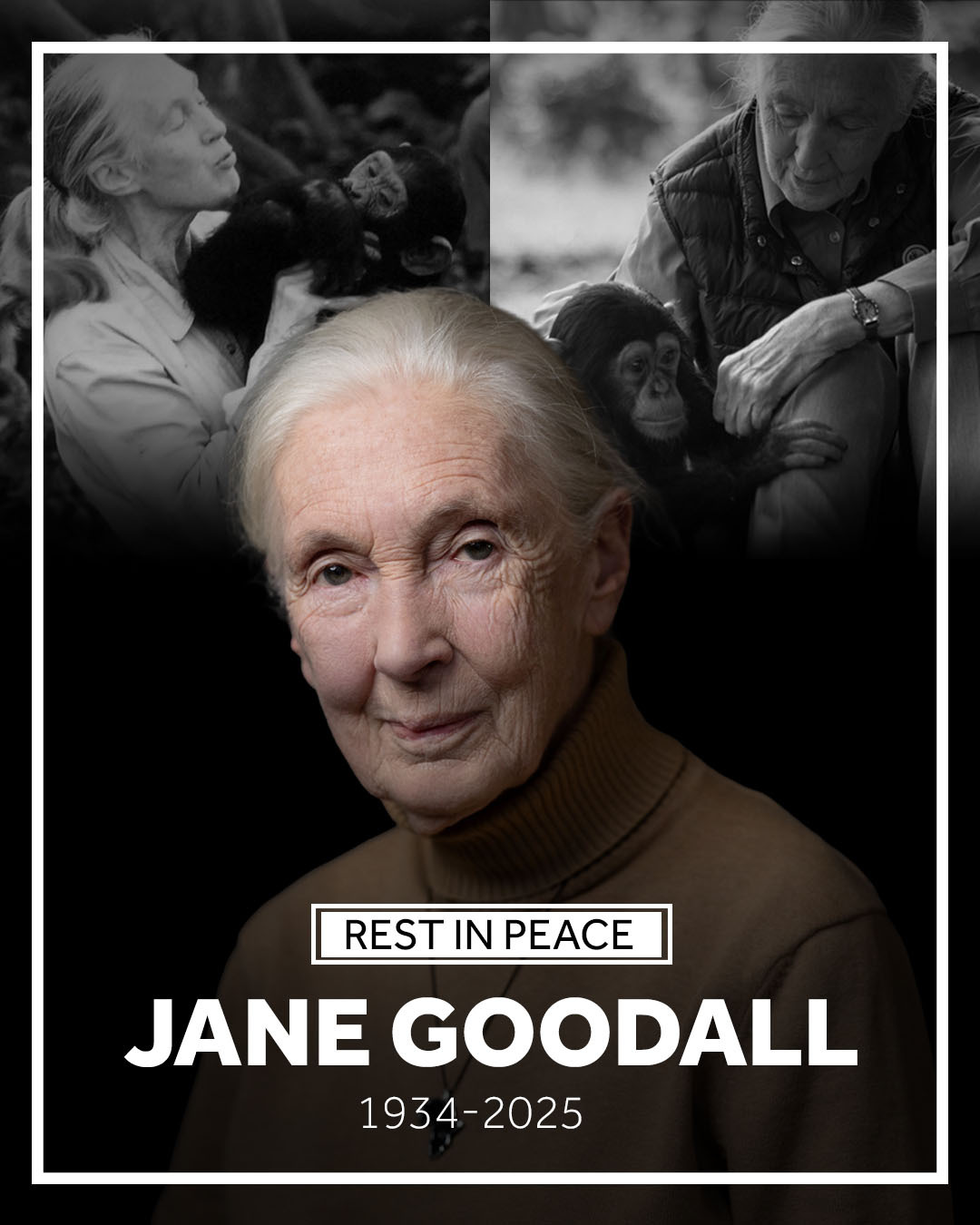 WXII 12 NEWS - Jane Goodall, conservationist known for her... | Facebook