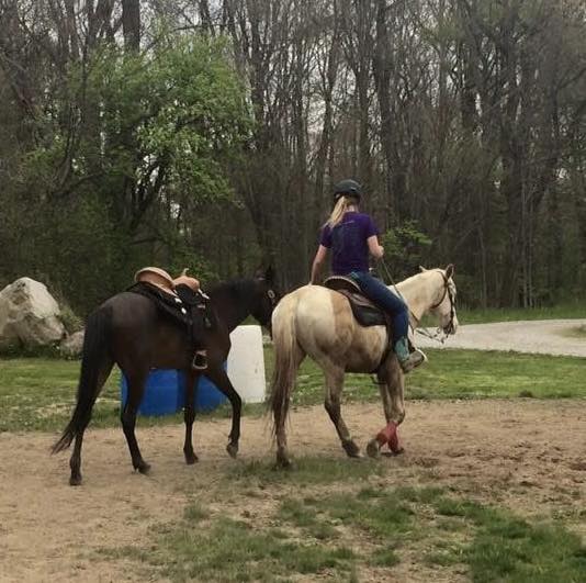 AB Ranch - AB Ranch added a new photo.