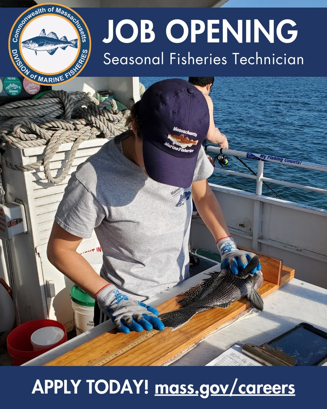 Massachusetts Division of Marine Fisheries
