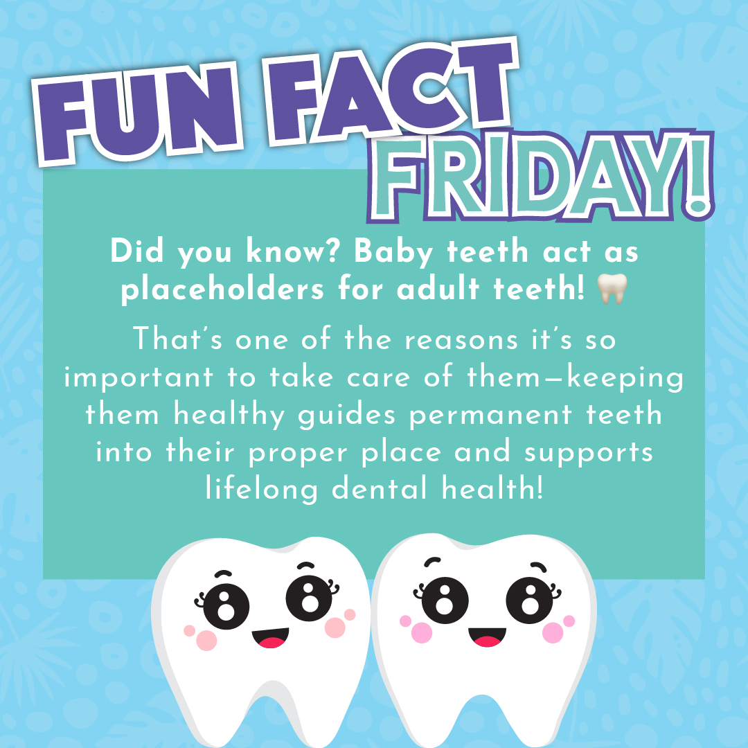 Wild - Did you know? Baby teeth act as placeholders for adult teeth! 🦷 ...