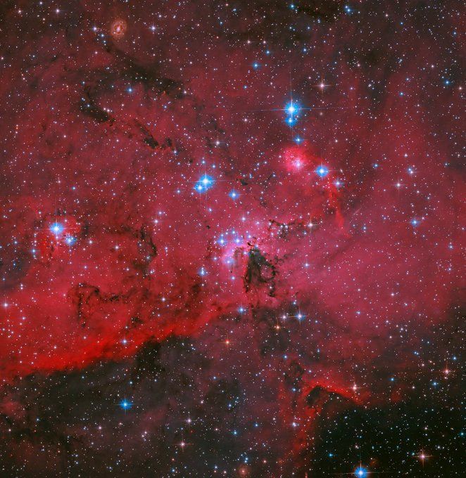 SCOPERTA EPICA: Trovata la Prima Stella Verde e il Nella Redder White Dwarf di Sempre!