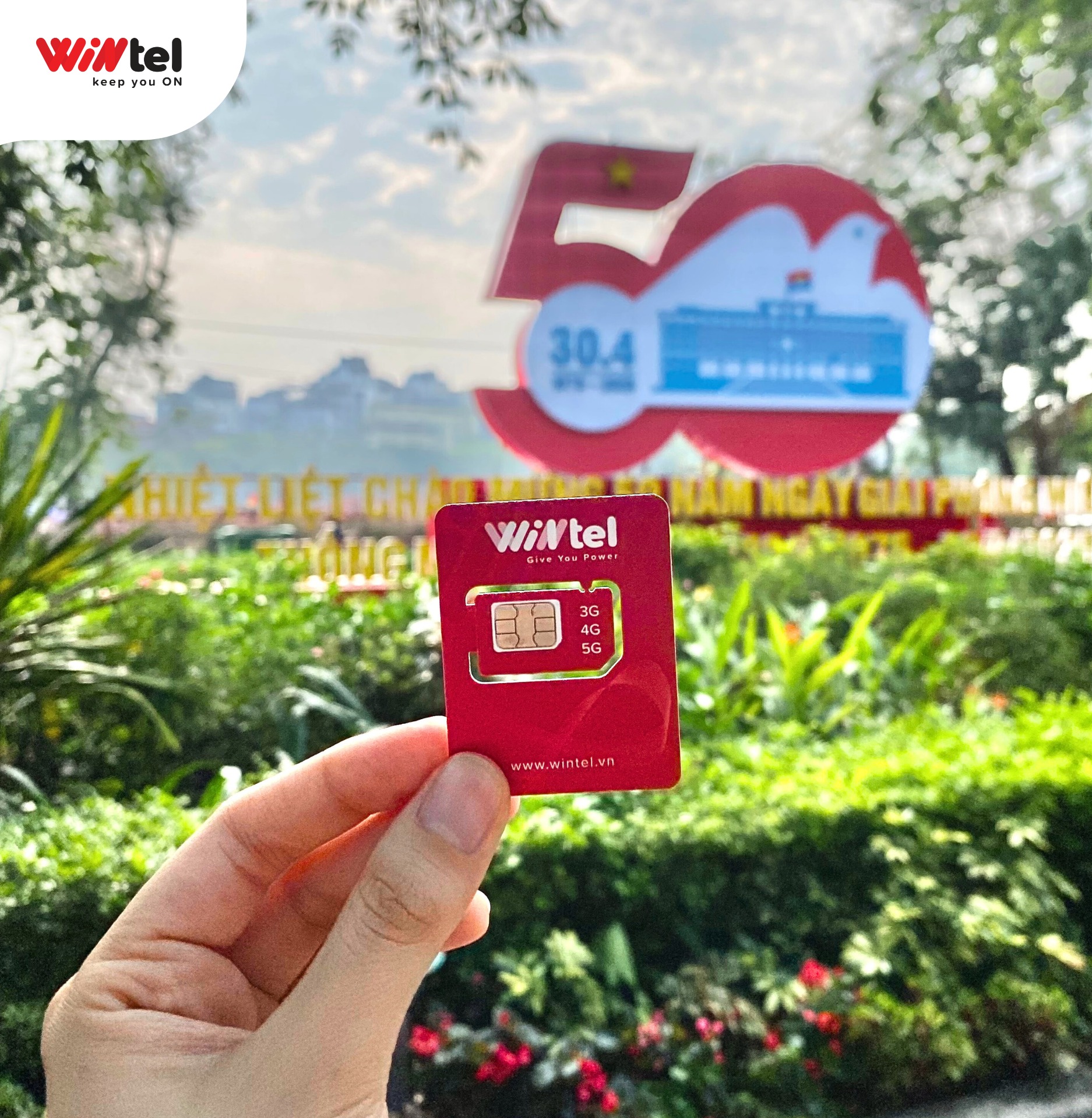 Wintel - 🇻🇳 Những ngày này, phố đẹp đến nao lòng... ️ Tự... | Facebook