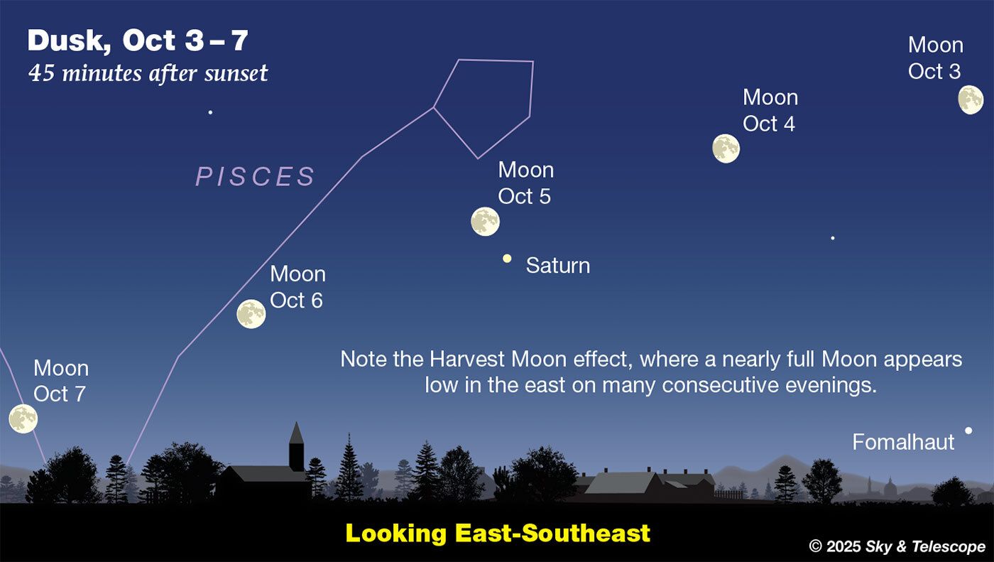 Sky & Telescope - The Moon, just a day from full, shines... | Facebook
