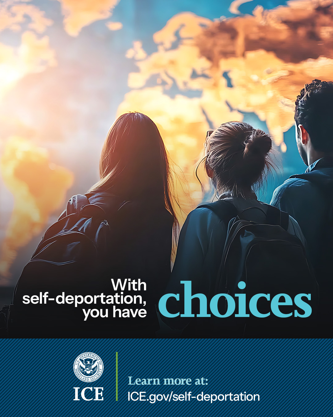 U.S. Immigration and Customs Enforcement - Learn more about Project ...