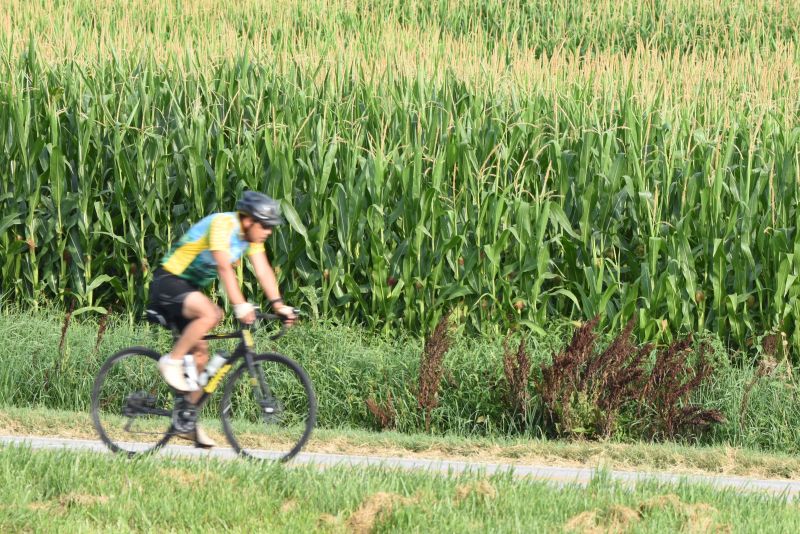 Tour - 🚴‍♂️🌽 Tour de Corn 2025: Stay & Play! 🌽🚴‍♀️ 🏨 Need a place to ...