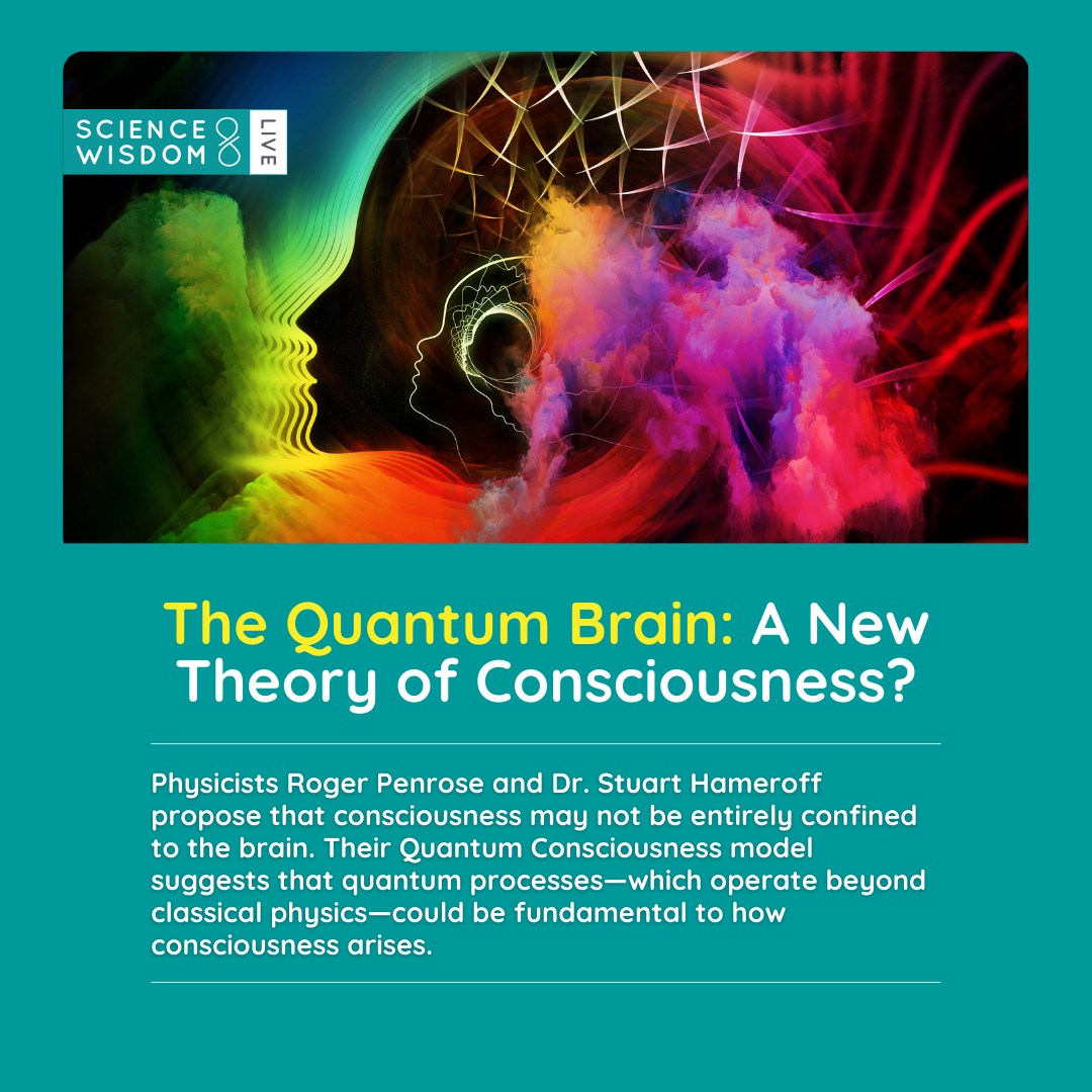 Science - 🔬 According to their theory, quantum information might not be ...