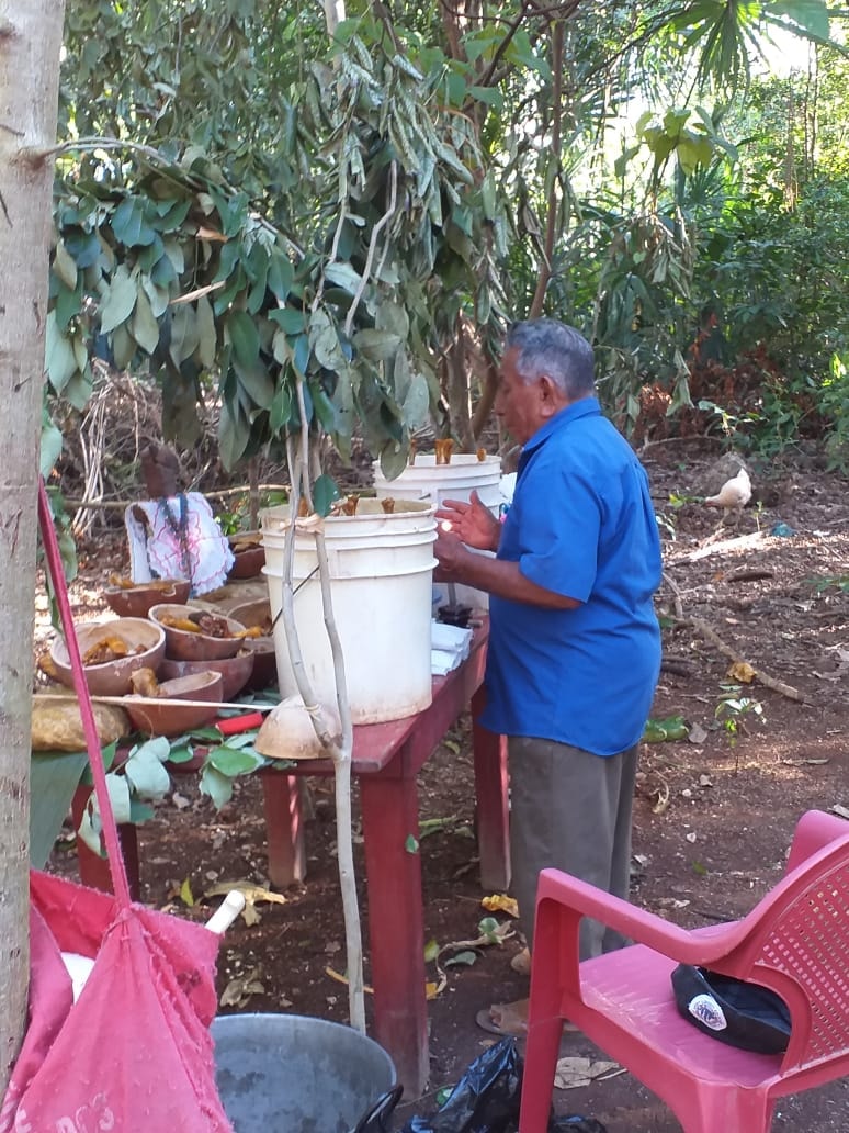 El ritual del “Janli Kool” se supone... - Tihosuco, Q. Roo | Facebook