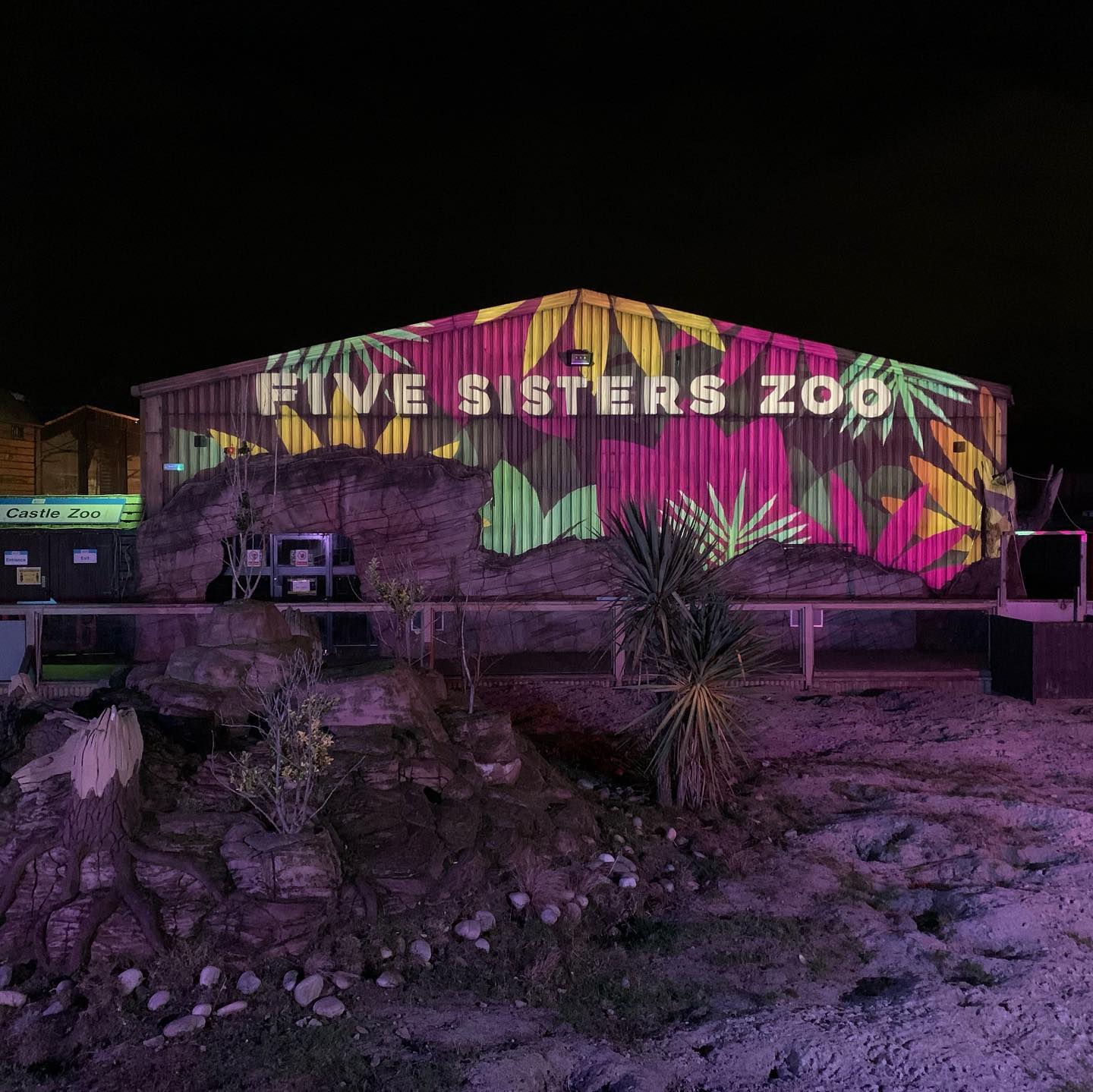 Scottish - ***VENUE SPOTLIGHT*** Five Sisters Zoo With over 160 ...
