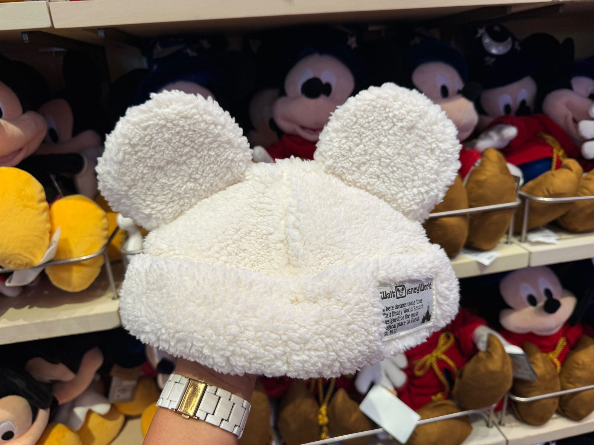 Disney World Version of Tokyo Disney Winter Cap Now Available