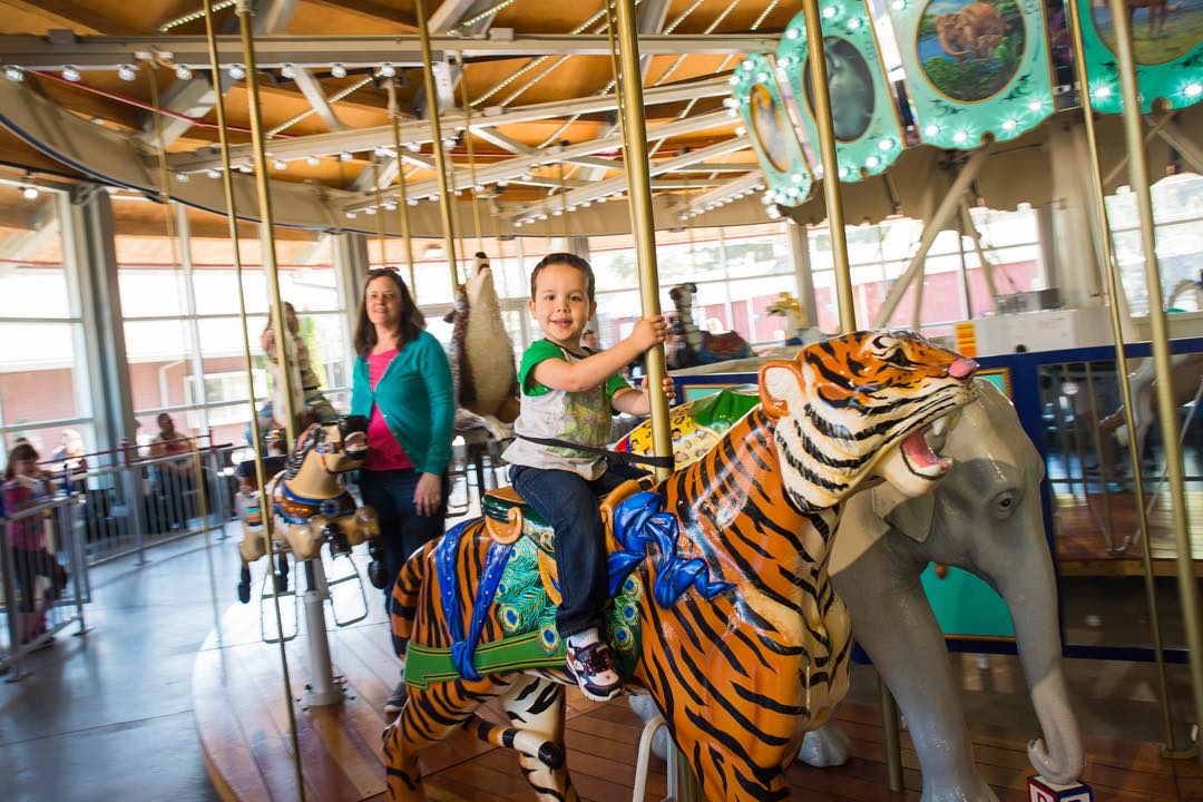 Point Defiance Zoo &... - Point Defiance Zoo & Aquarium