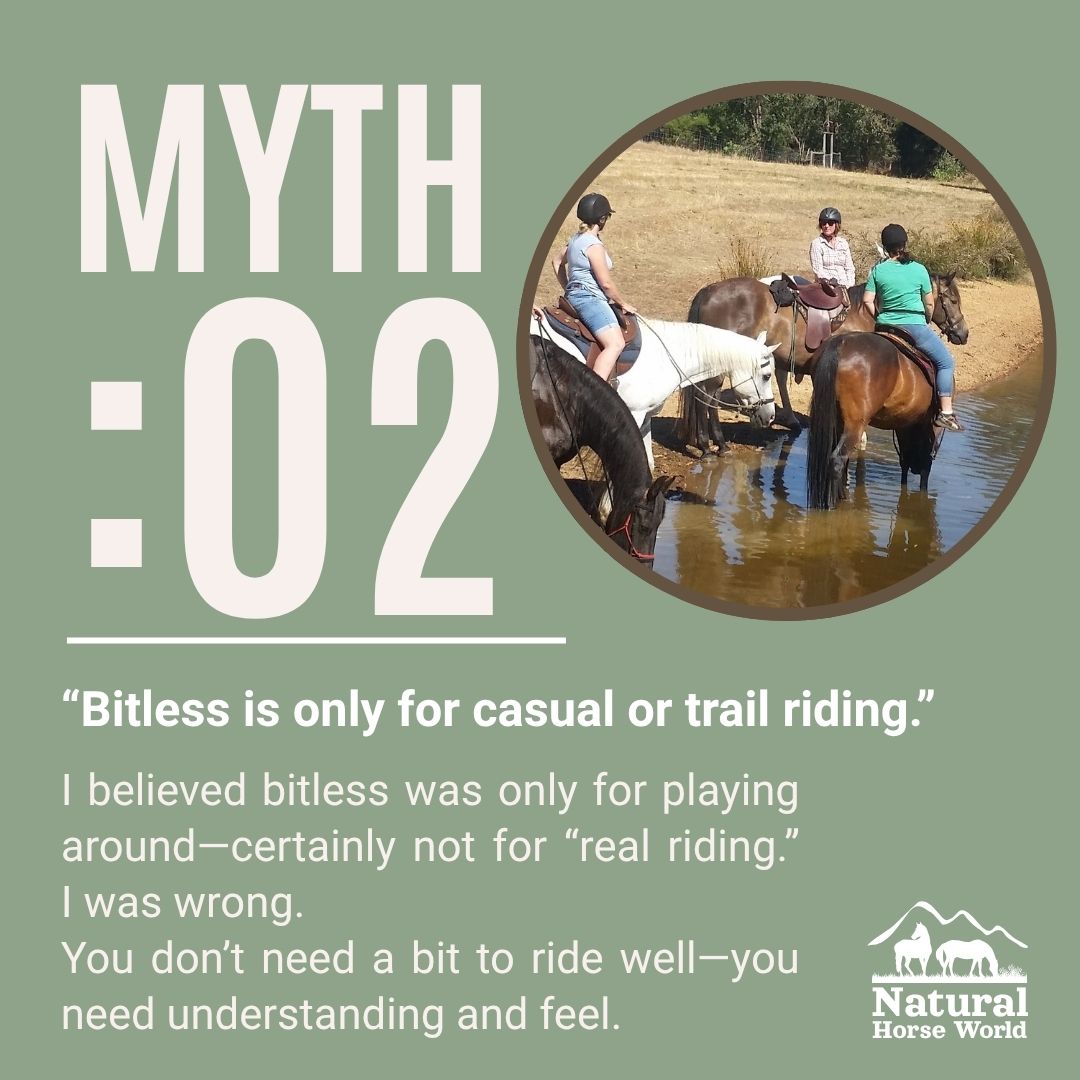 LightRider Bitless Bridles | Saltwater River TAS