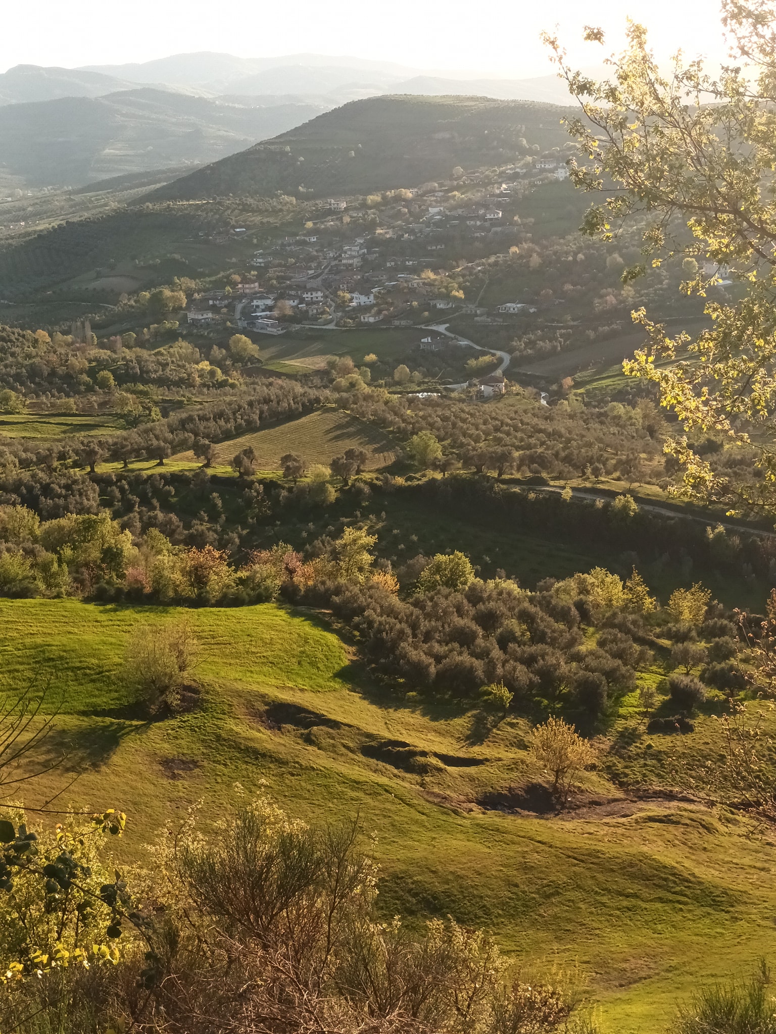 Shkolla... - Shkolla 9-vjeçare 