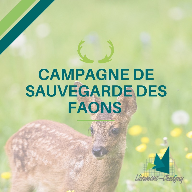 Administration - ️🦌 CAMPAGNE DE SAUVEGARDE DES FAONS #AGRICULTURE ...