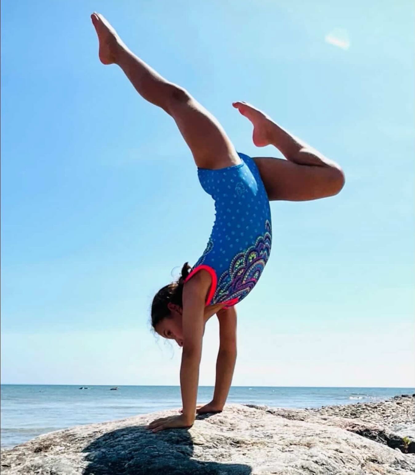Jagwear Gymnastic Apparel /Leotards