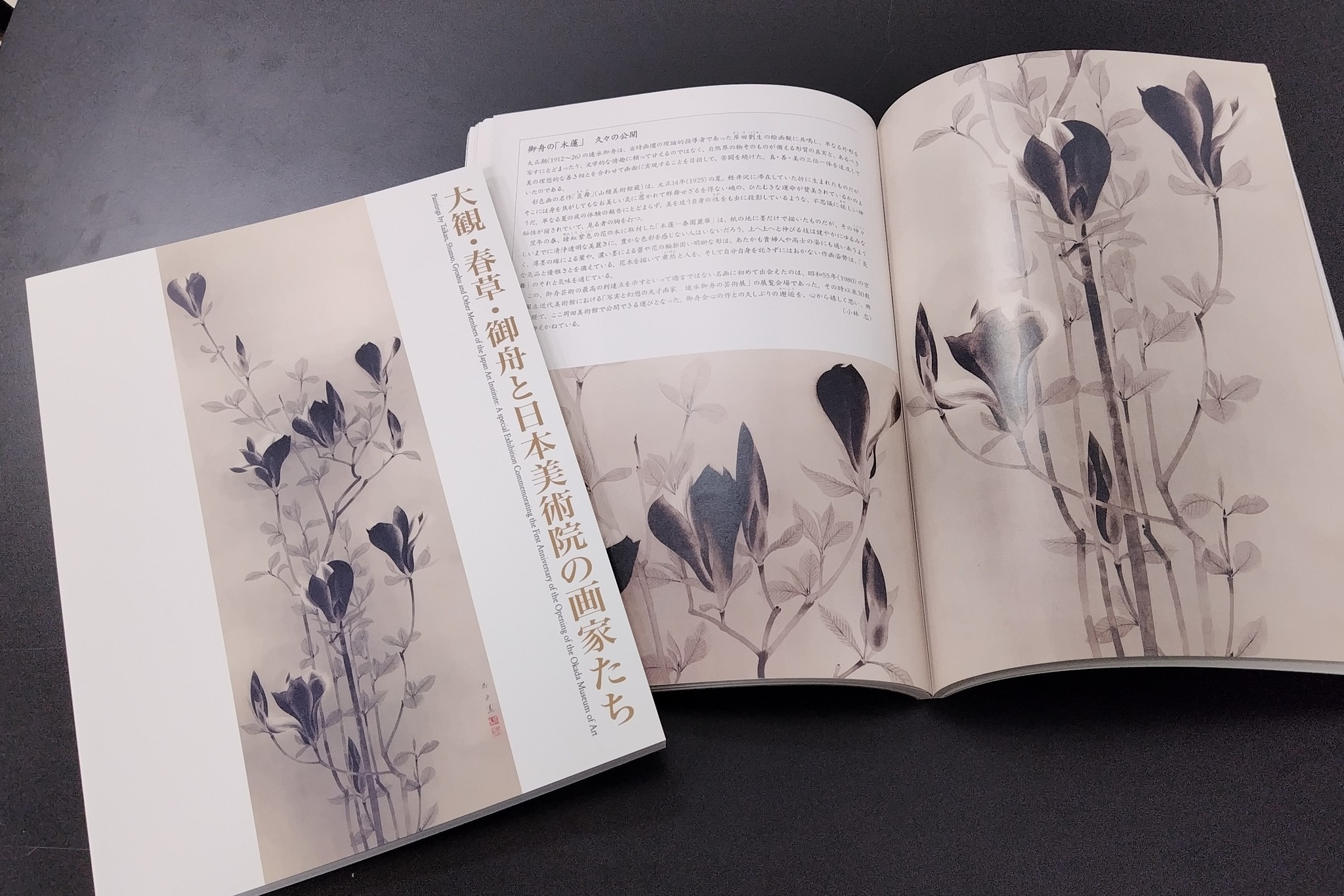 現在開催中の特別展「#御舟と一村、珠玉の日本」では、近代日本画に
