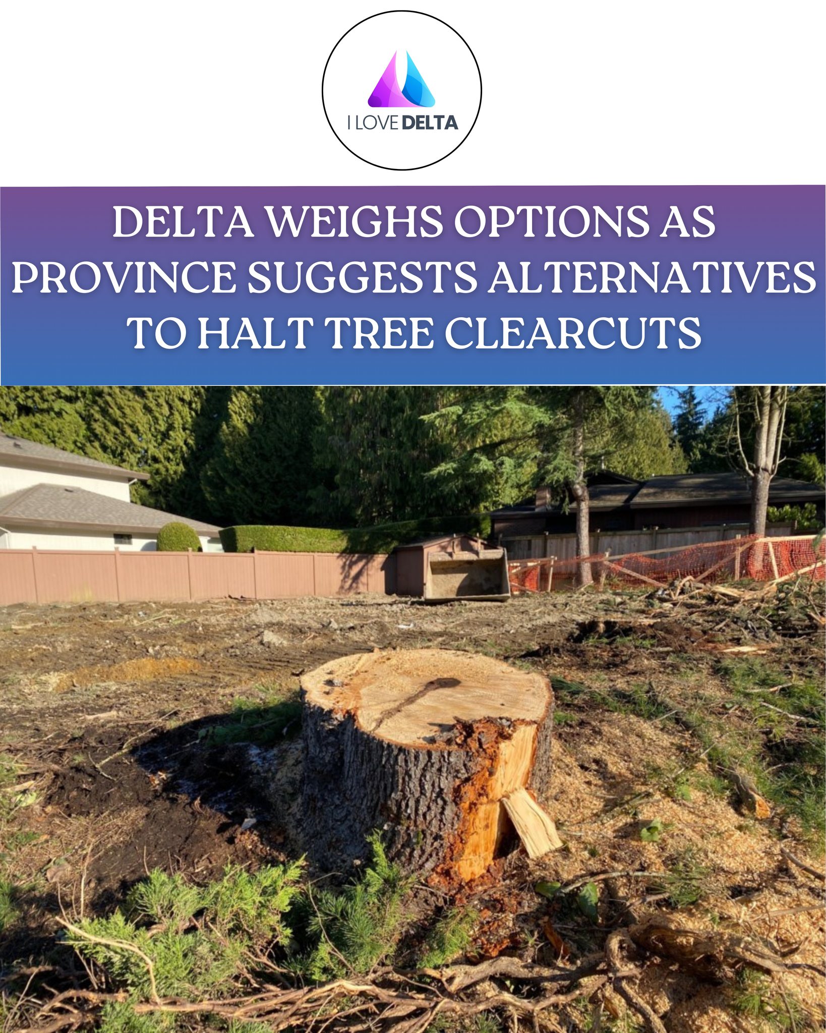 I Love Delta - Another stand of trees has been cleared in... | Facebook