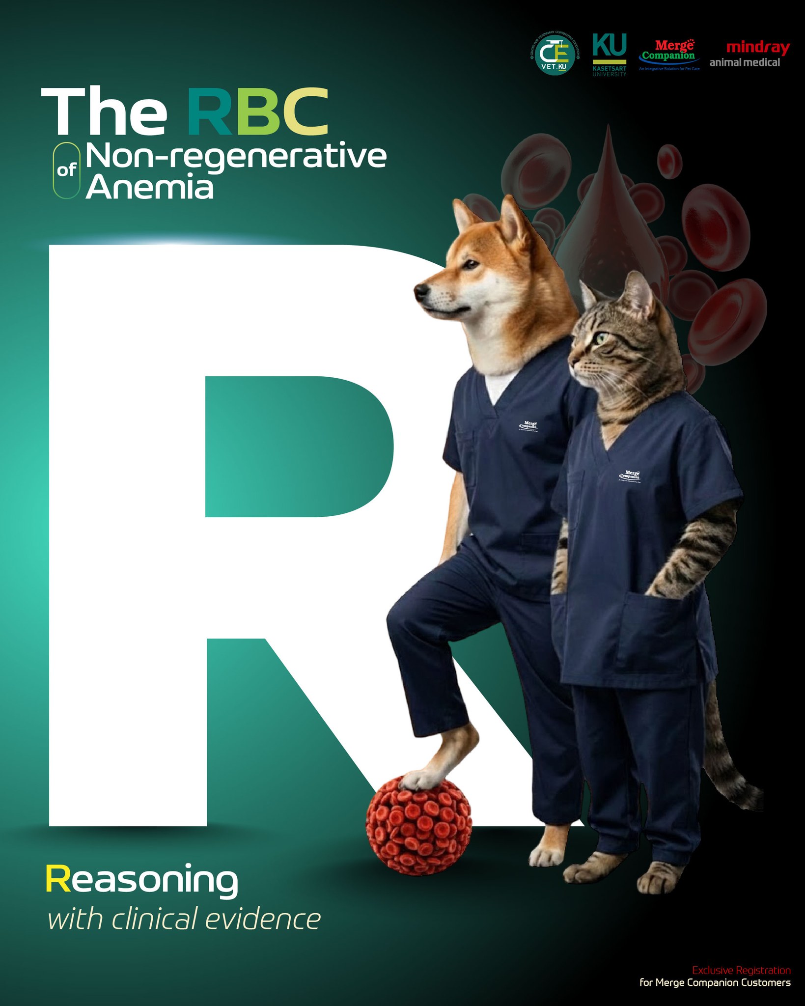 Merge Companion - 🚩 The Ultrasound Vet Training 🖊️... | Facebook