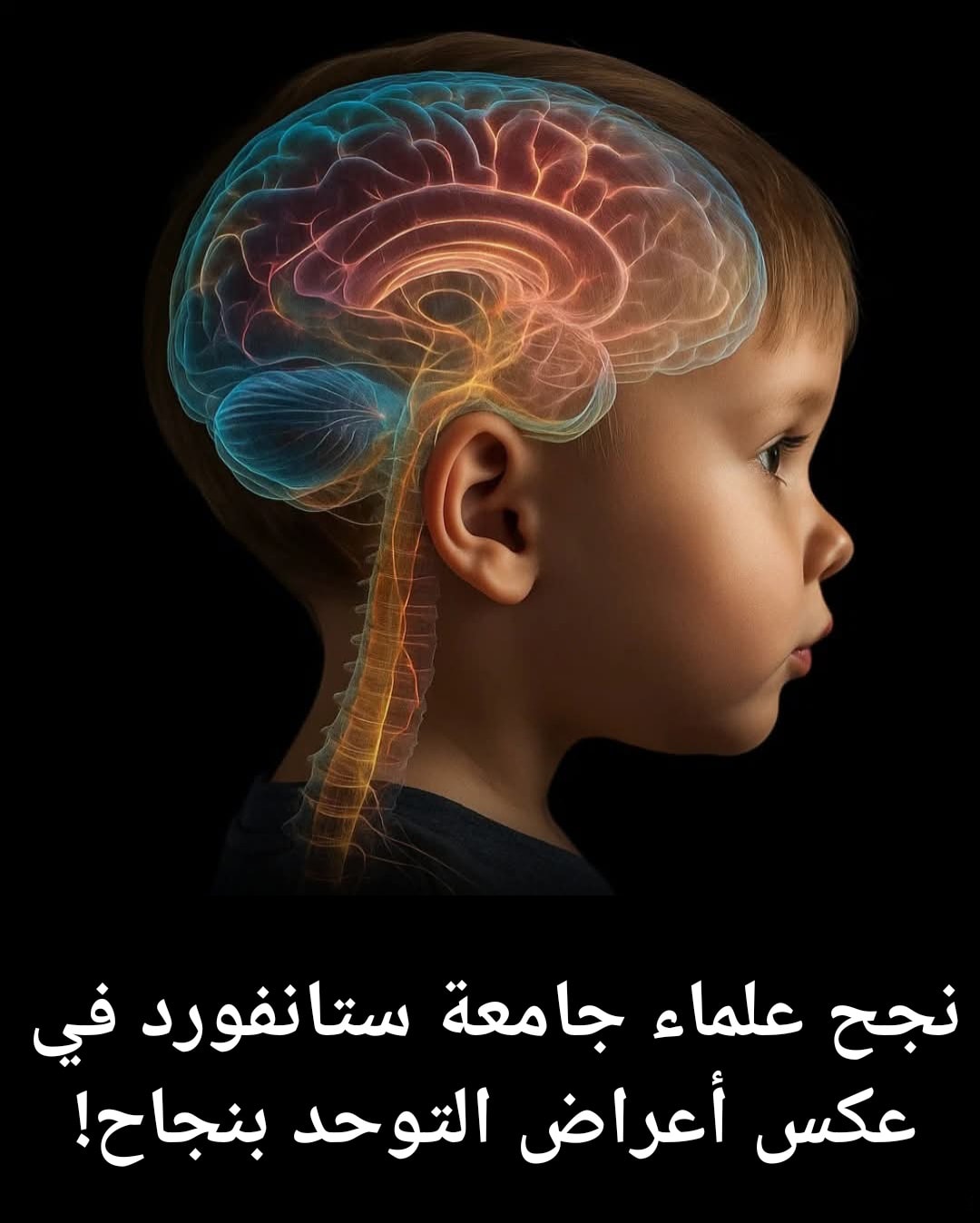 تخاطب - . برنامج لعلاج الخنف (Hyper nasality) 🔻🔻🔻🔻🔻🔻🔻🔻🔻🔻🔻🔻🔻🔻🔻 إجراء ...