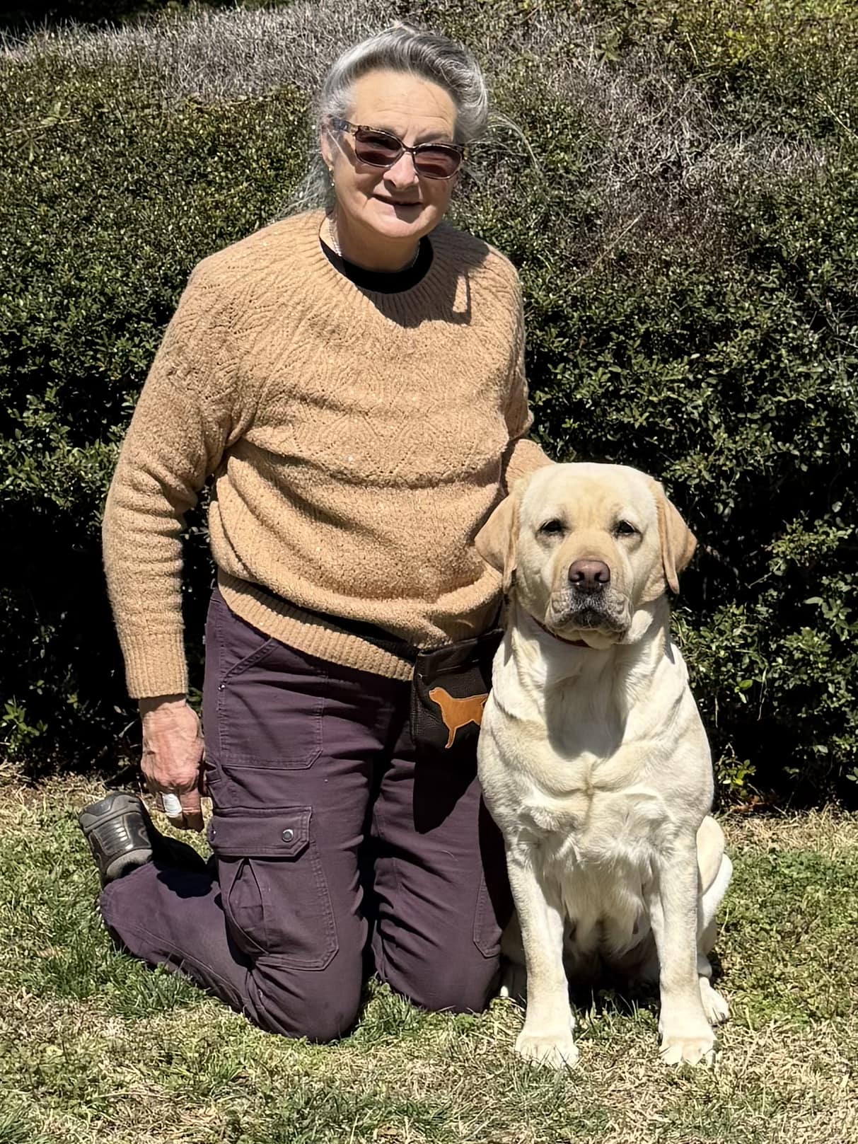 Rockycreek Labradors | Columbia NJ