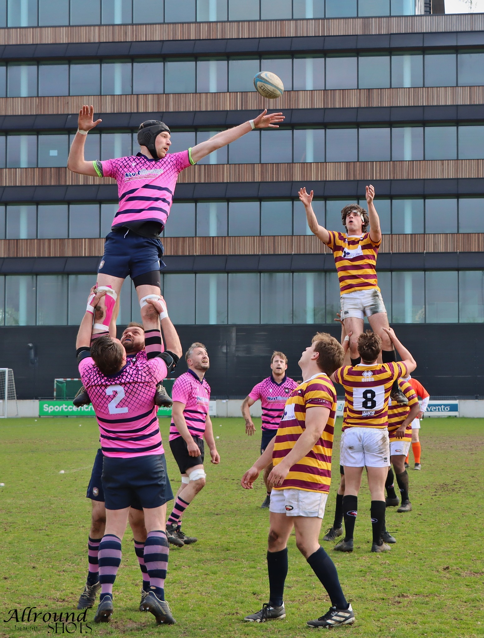 RC The Pink Panthers