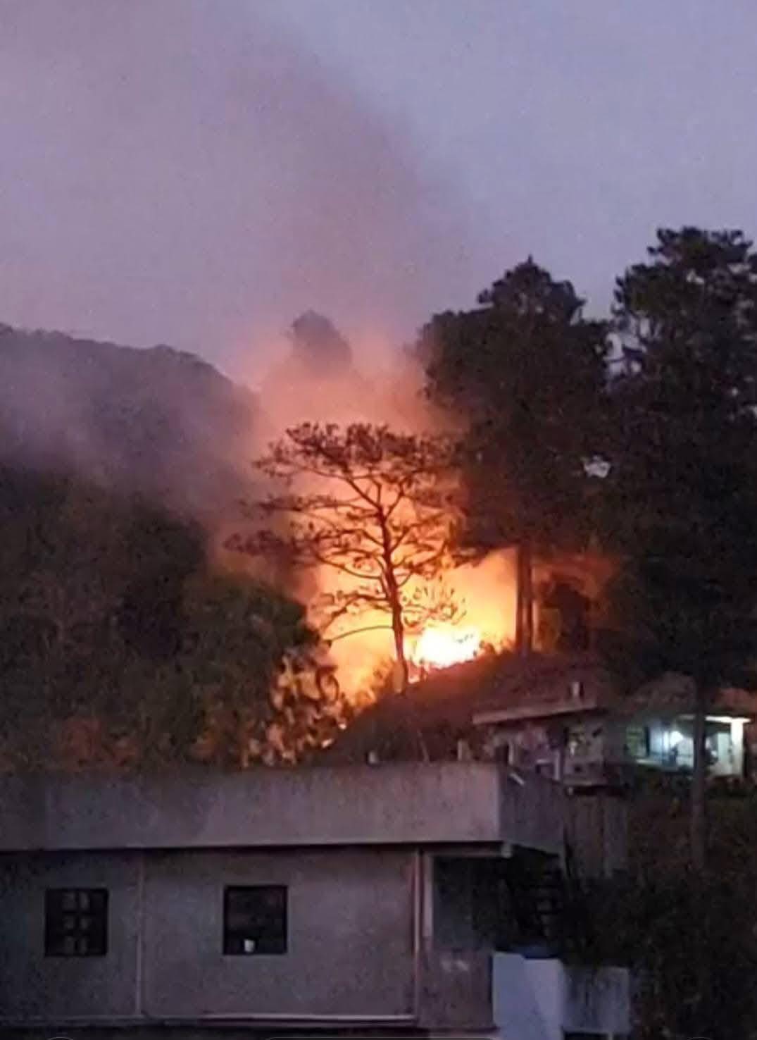 Hazard - FOREST FIRE SA LOWER DAGSIAN, BAGUIO CITY 🔥 LOOK: Nasunog ang ...