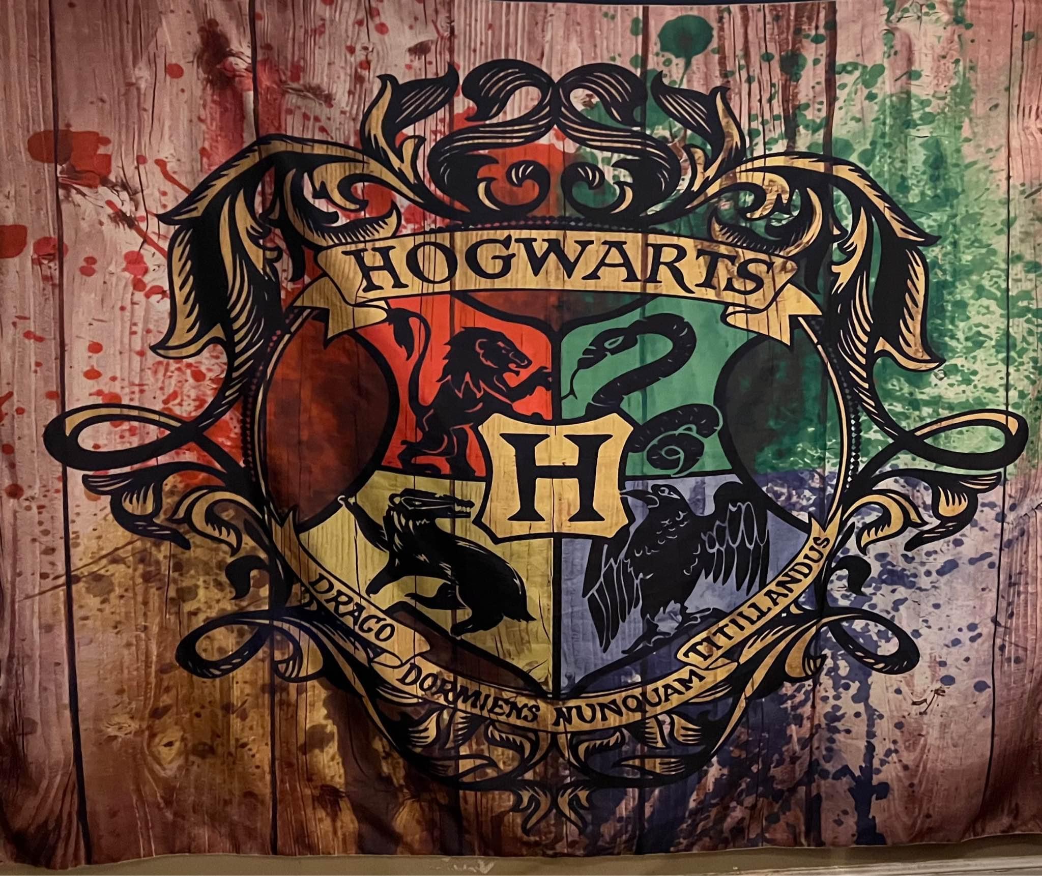 harry potter, hogwarts Posters, Prints & Paintings Jamestown, North