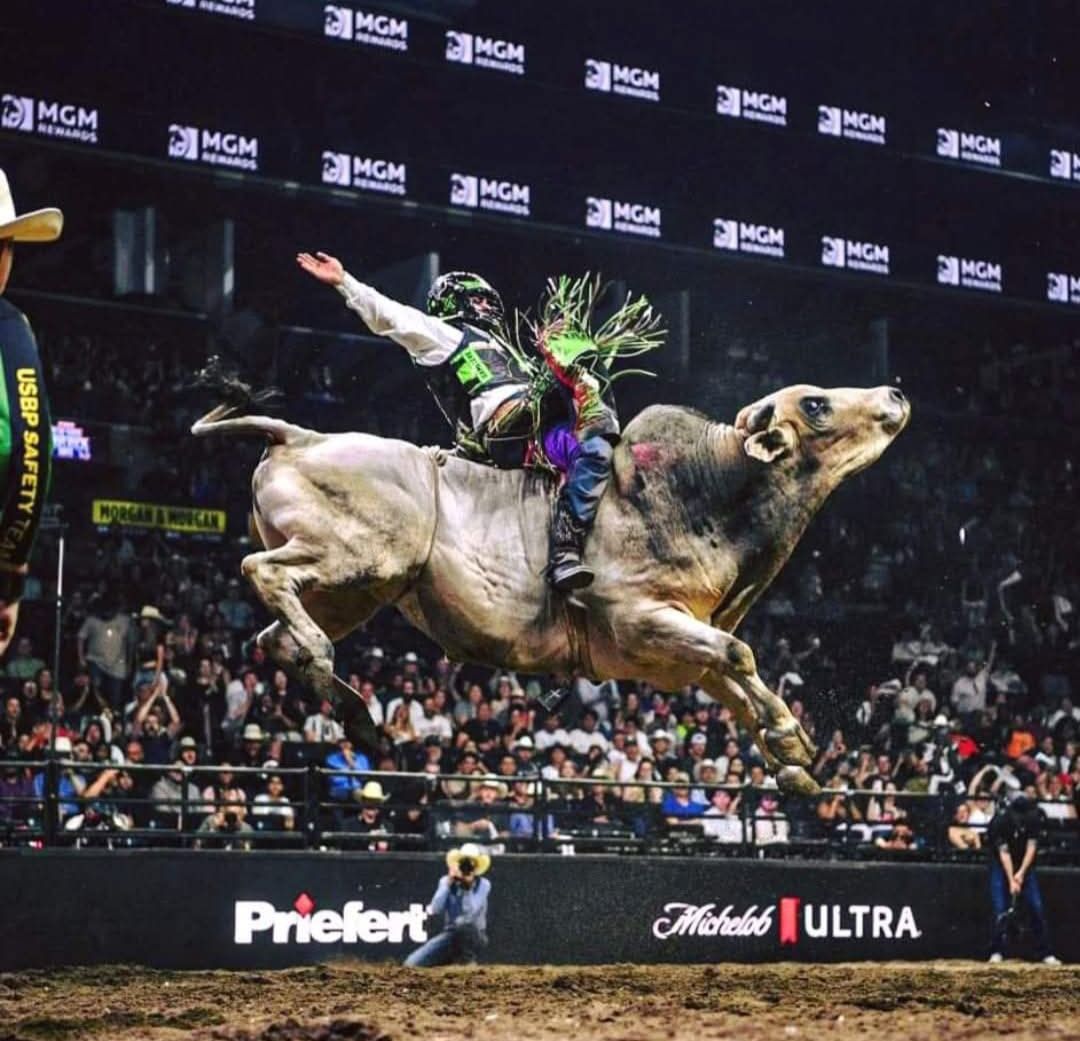 Rodeo News Broadcast - Bull flying 🤩 Great photograph! 📸 # ...