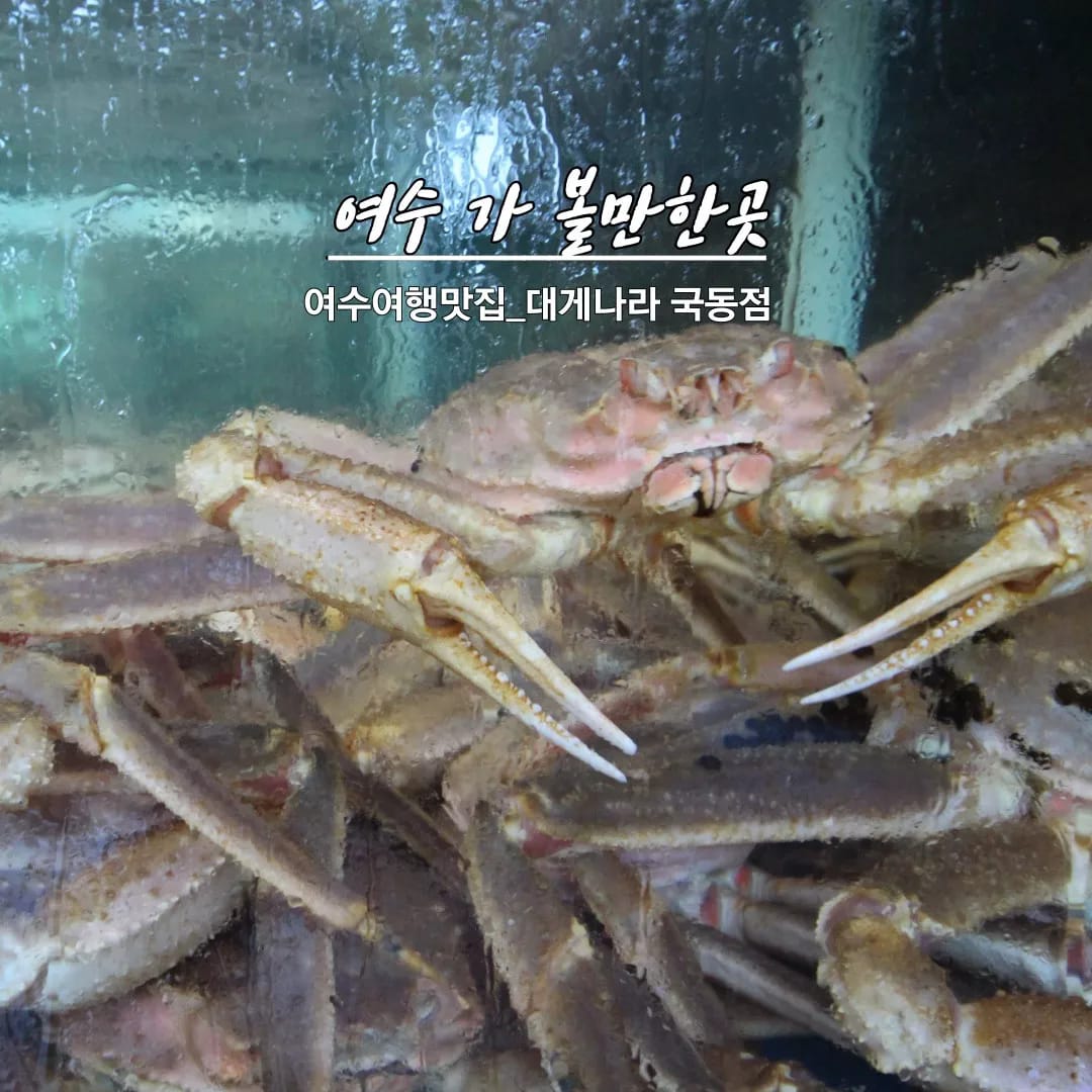 여수맛집 대게나라 국동점 - 여수맛집 대게나라 국동점 added a new photo.