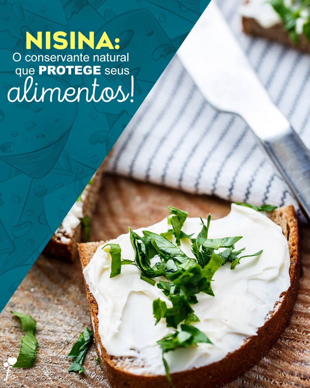 Fermentech - 🛡 A Nisina (Nisaplin™) é um bactericida... | Facebook