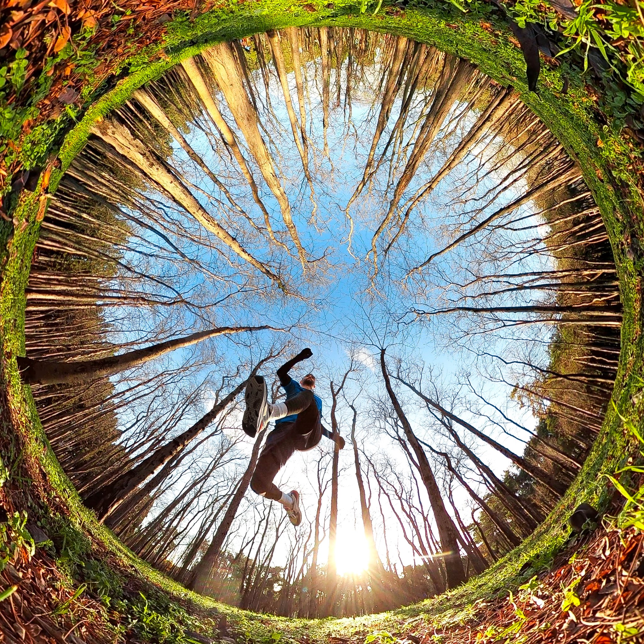 GoPro - Photo of the Day: Springing into spring 🎉 Captured with 360 ...