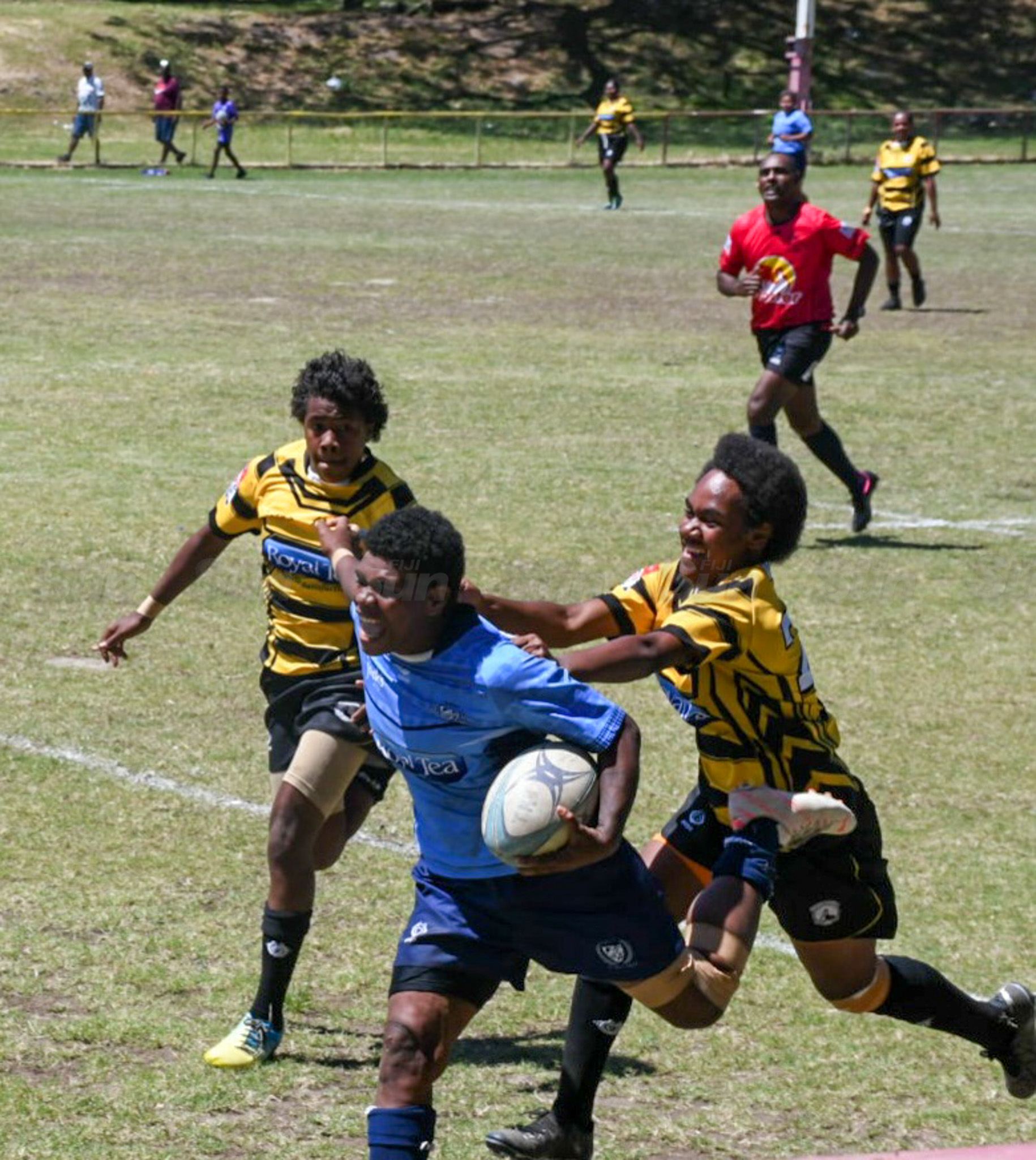 Fiji Sun - Fiji Sun added a new photo.