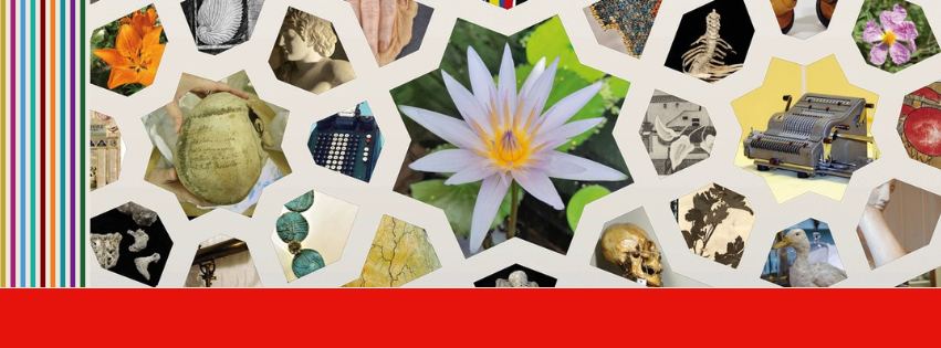 Orto e Museo Botanico di Pisa / Pisa Botanic Garden and Museum added a ...