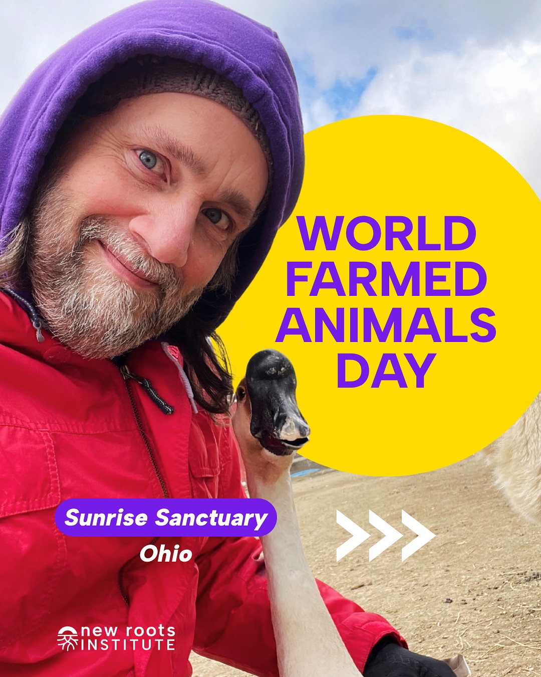 Today is World Farmed Animals Day, a... - New Roots Institute | Facebook