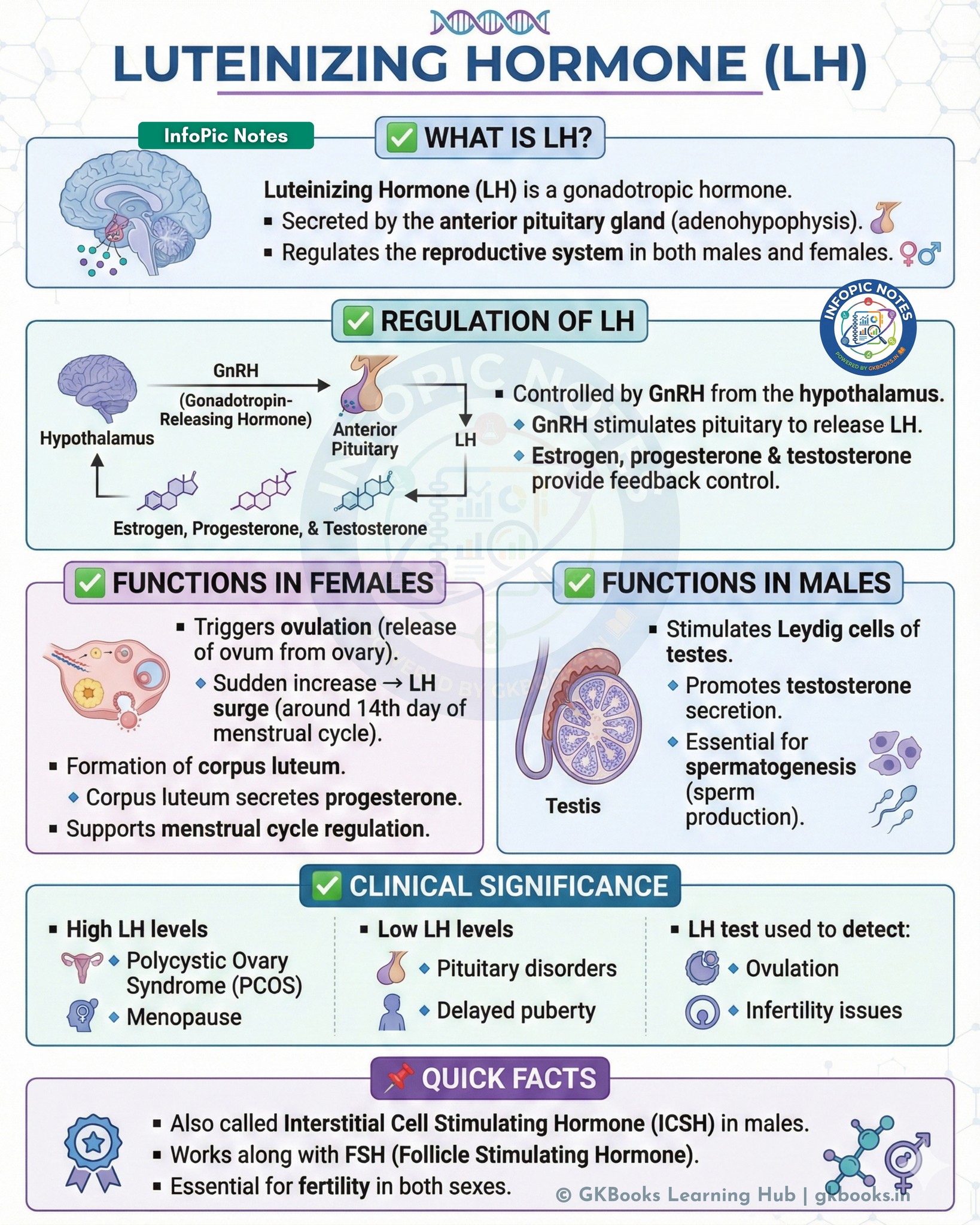 InfoPic - Luteinizing Hormone (LH) – The Ovulation Trigger Hormone ...