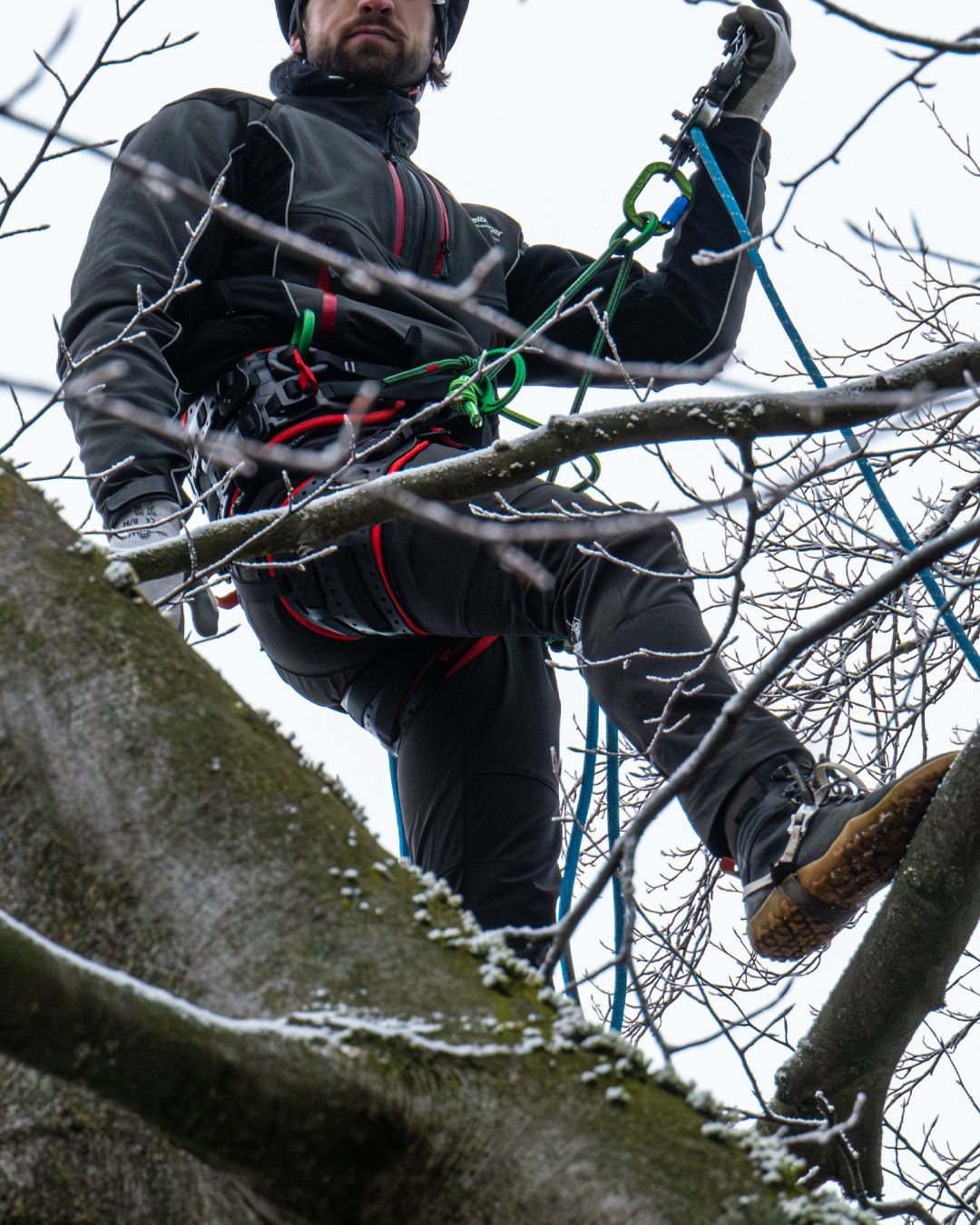 Forest - Introducing the Teufelberger Treecare treeMOTION Pro X! The ...